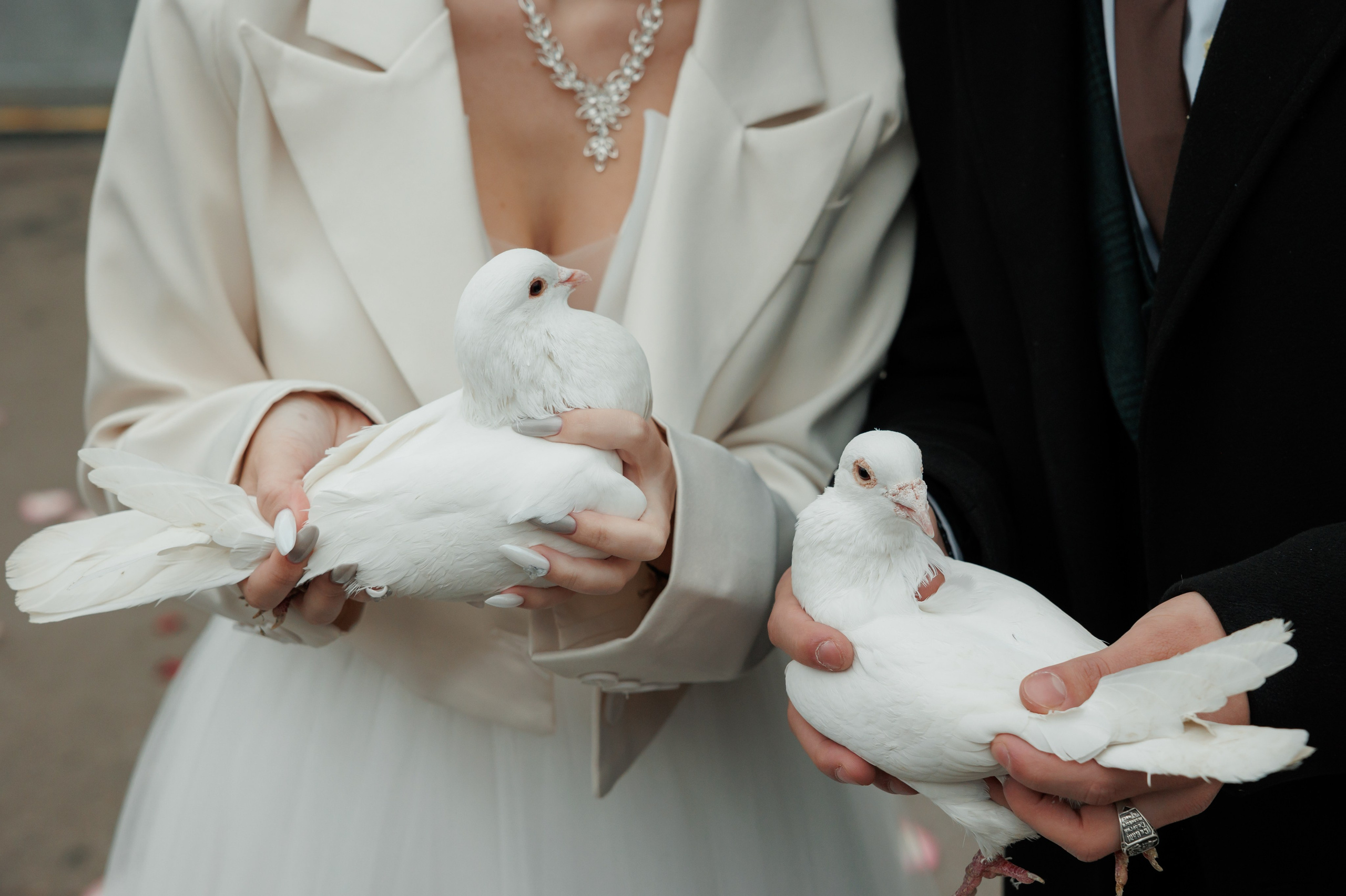 Константин и Дарья, ЗАГС ВДНХ, отель Soluxe, ресторан «Антик». Свадебный и репортажный фотограф (Москва, Королев и другие)