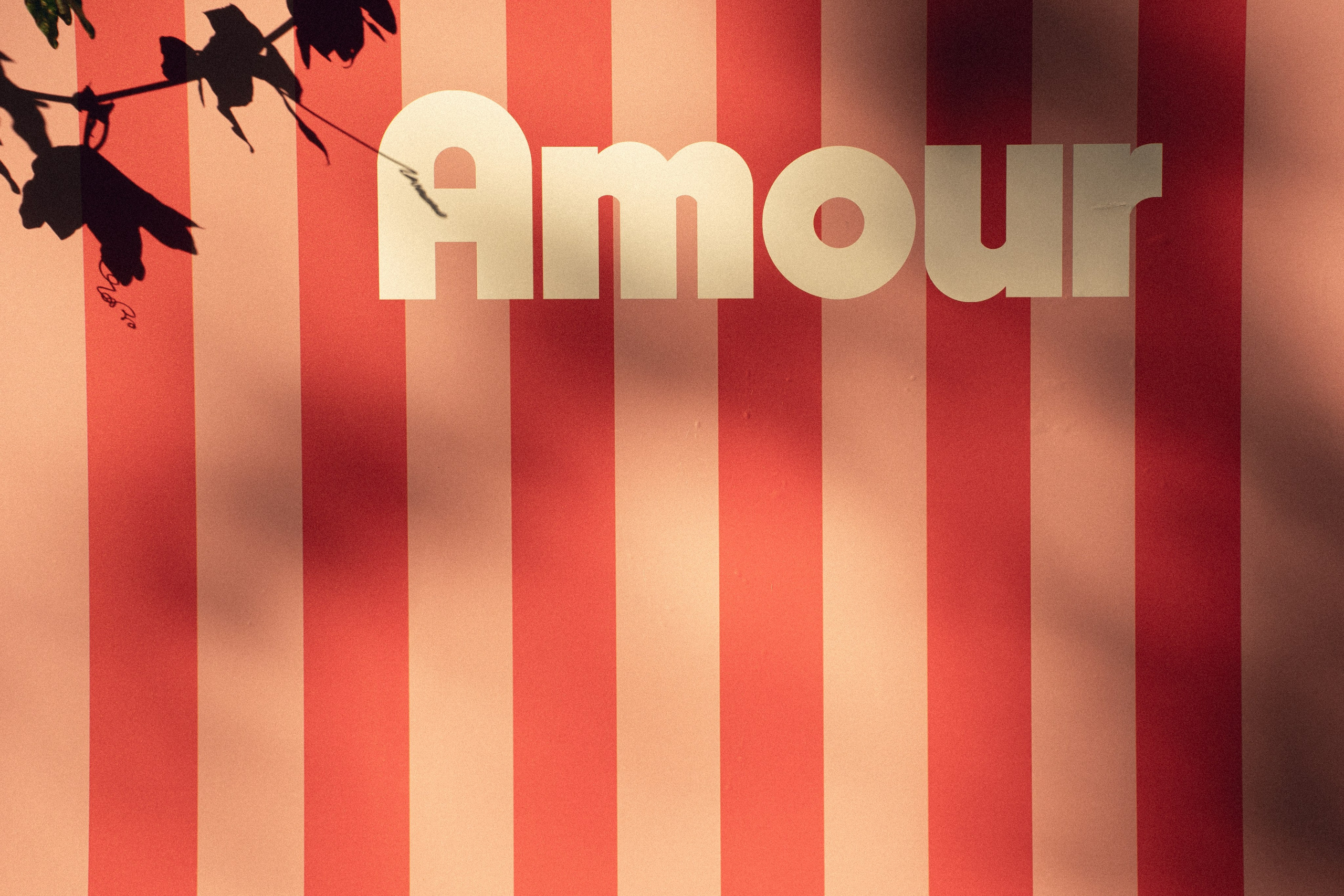 | AMOUR |. Свадебный фотограф в Москве и Санкт Петербурге Наталья Григорьева