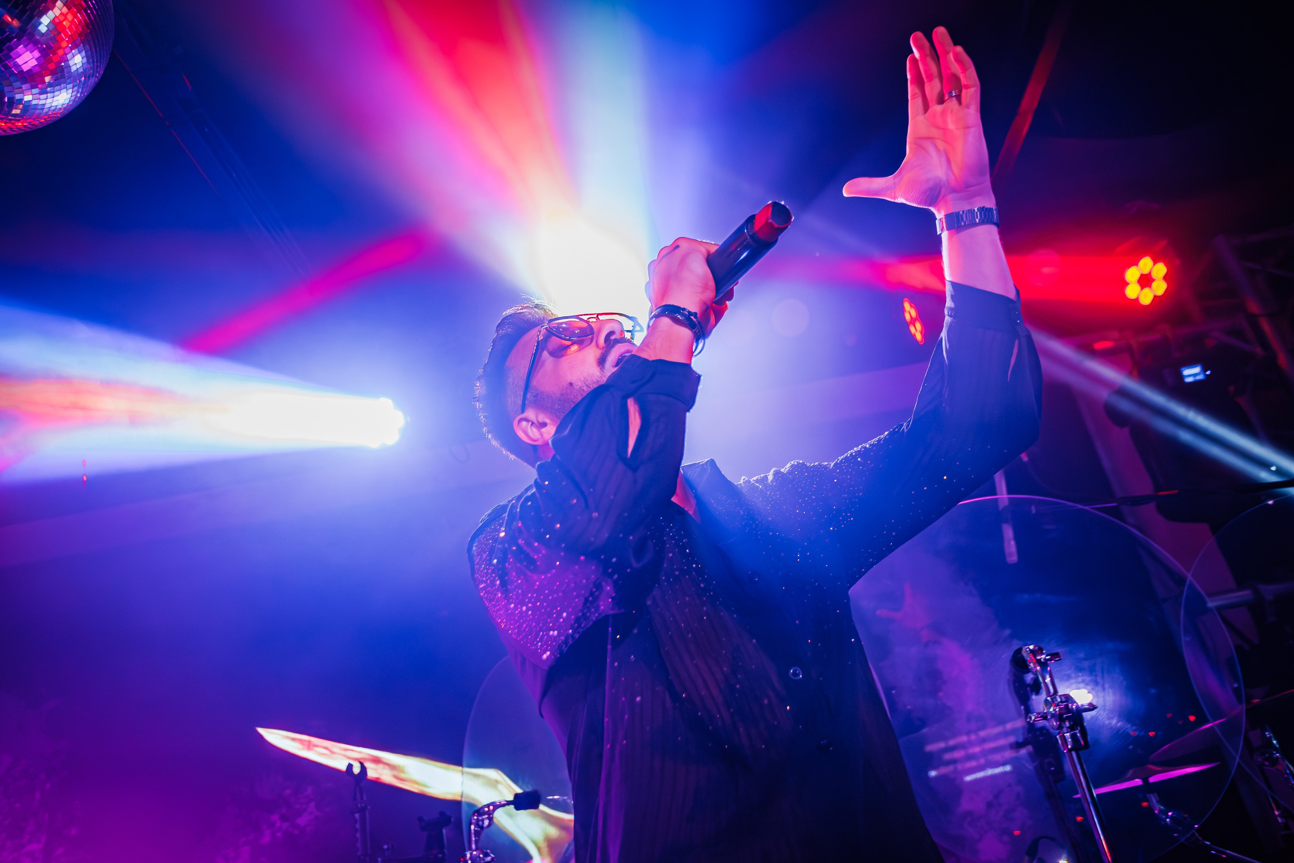 «Митя Фомин"_Чайка на пляже_Ялта_28.06.2025 г. Аминов Руслан | Фотограф