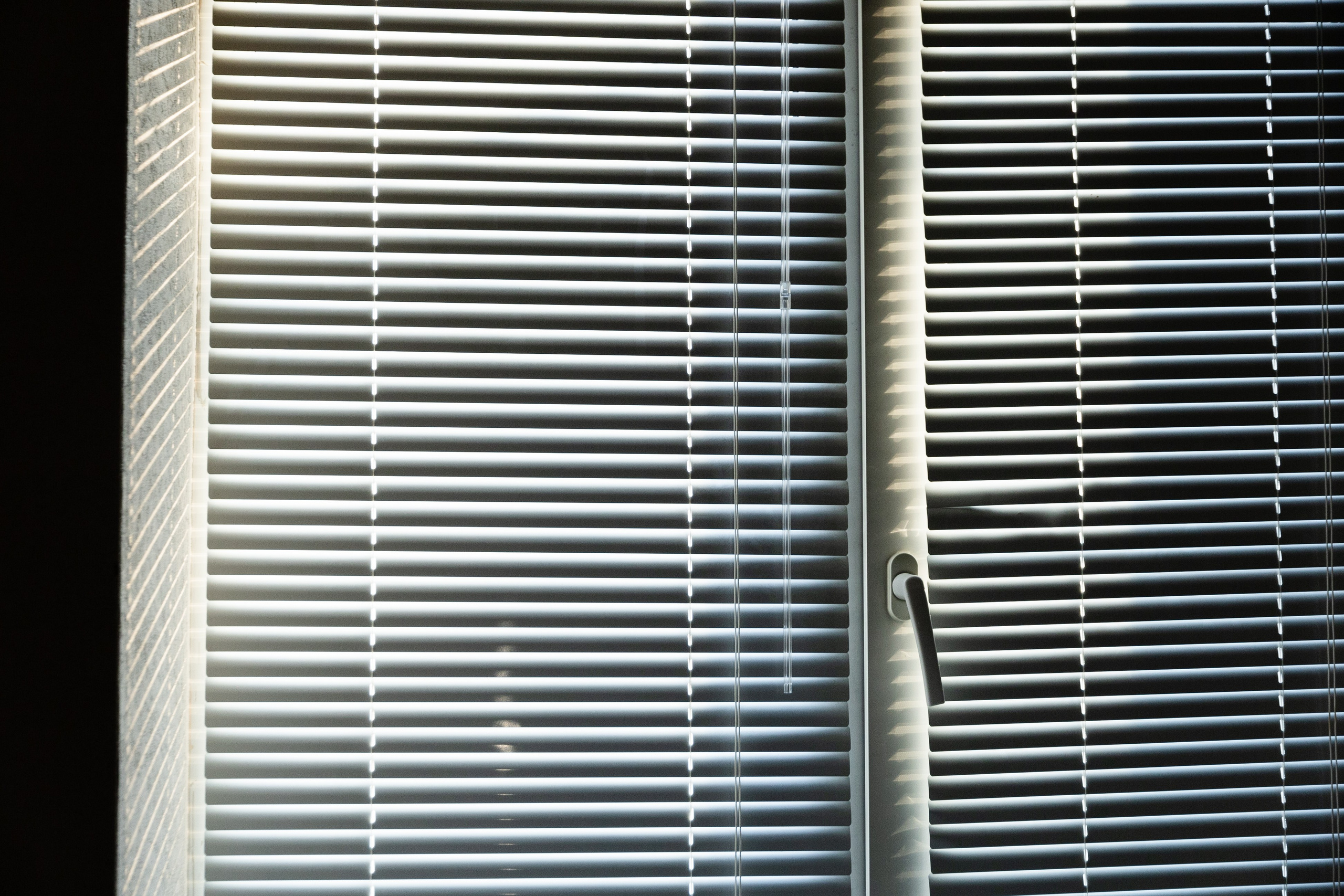 Часть. DASHA KALNINA