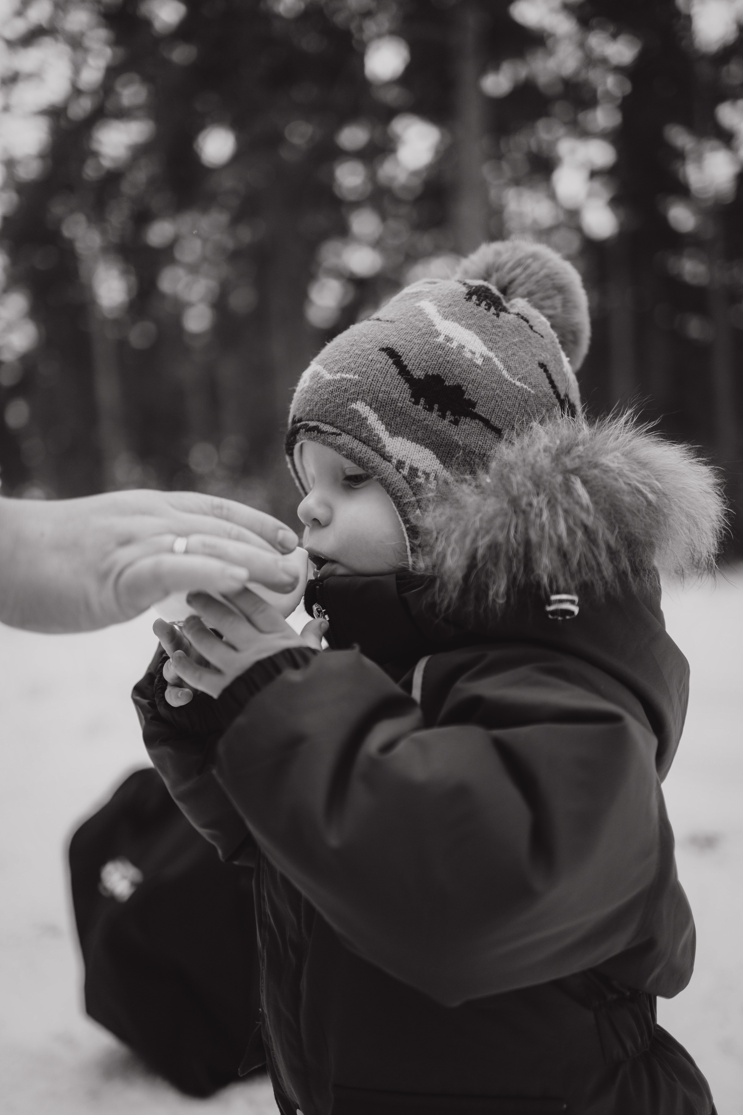 Прогулка в лесу. Коновалова Ольга | фотограф в Пензе и Заречном