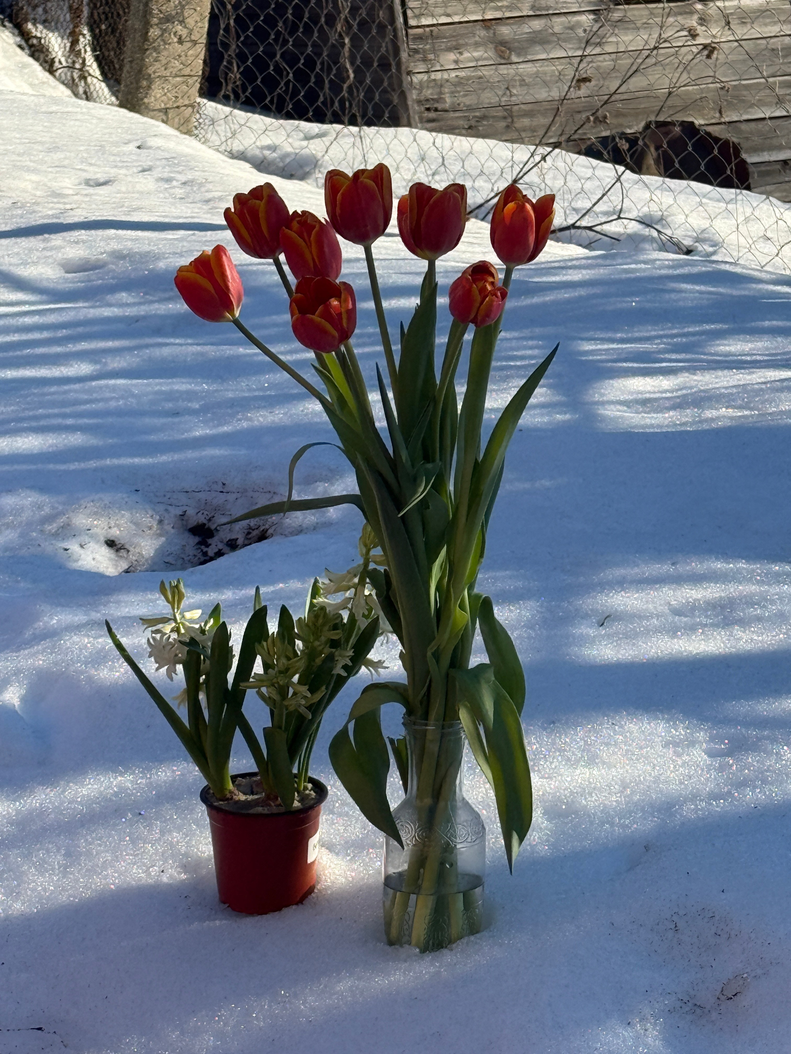 Пленэр имени себя: как хорошая погода победила творчество!. Живописец Ирина Пинская