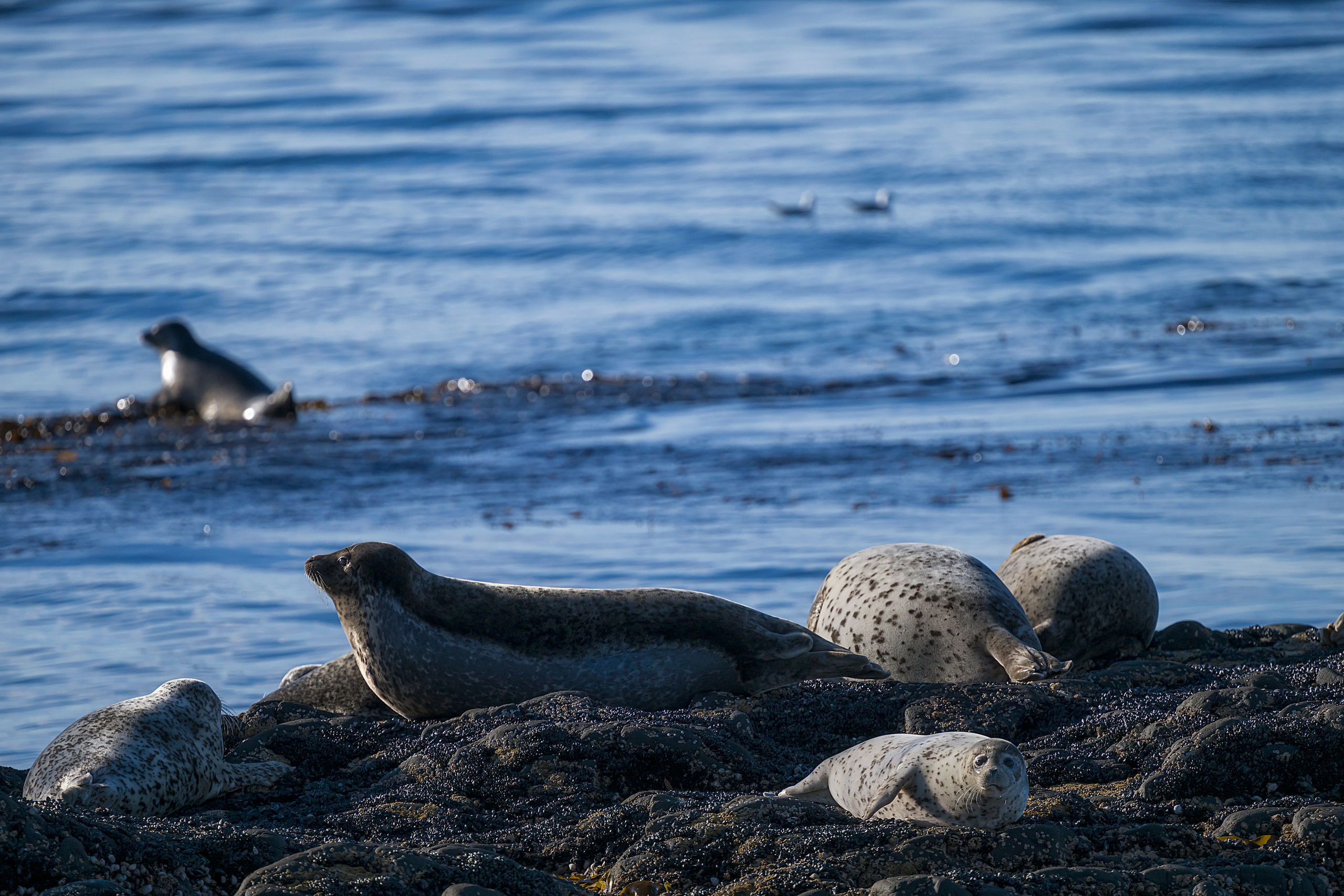 Камчатка. Портретный фотограф в Челябинске Катерина Руди