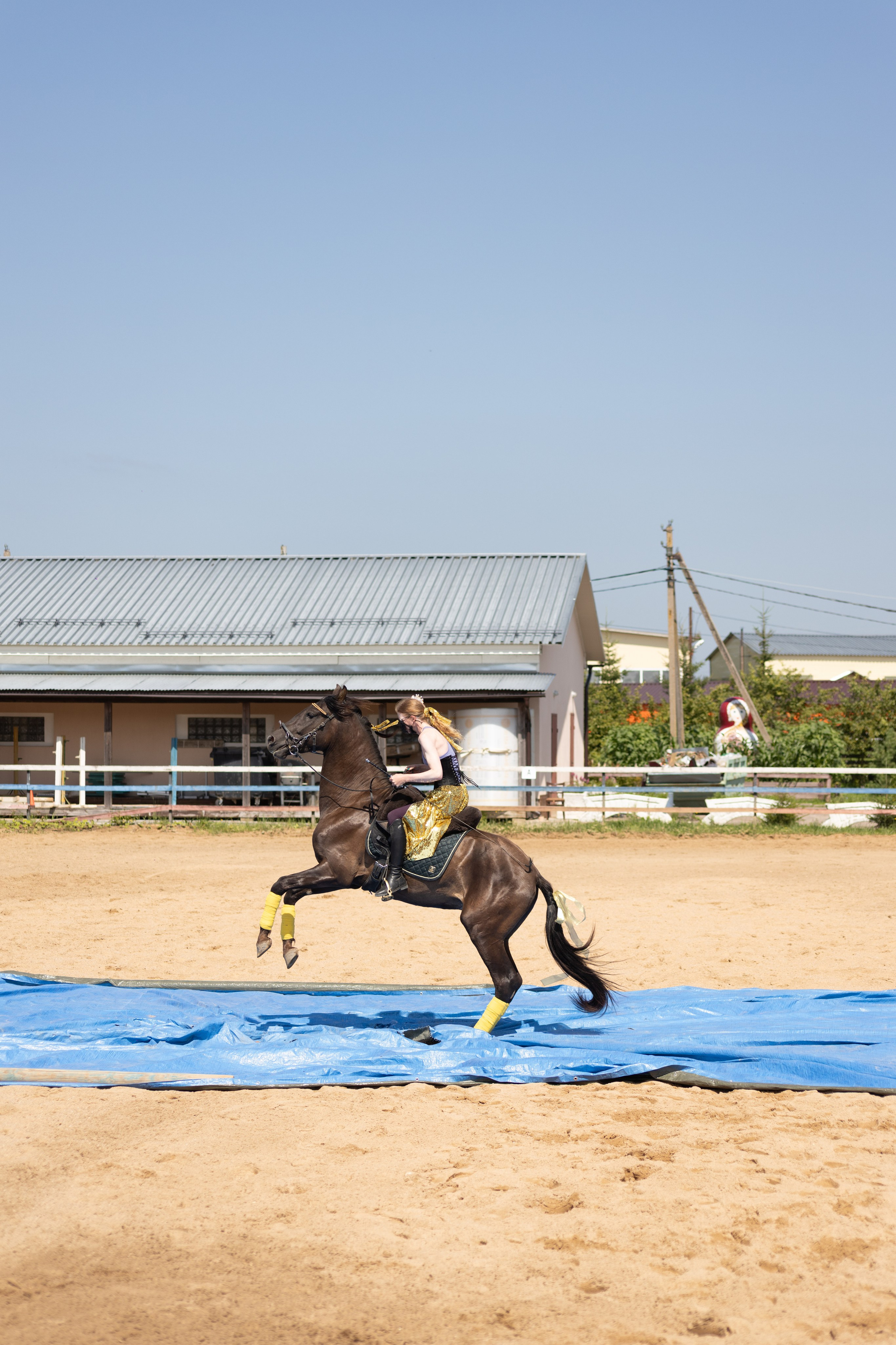 Конюшня. Фотограф в Москве и Истре