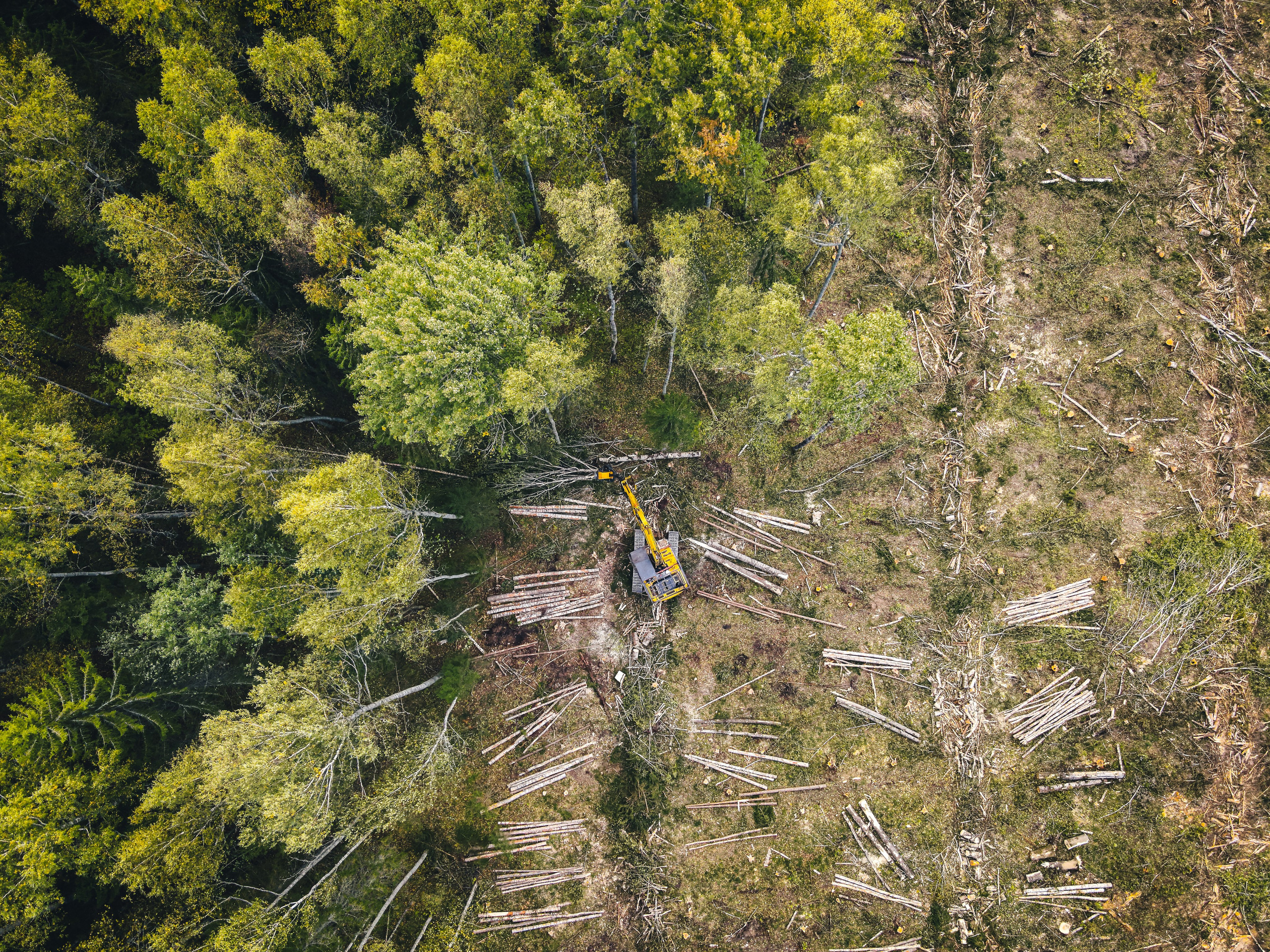 вырубка леса специальной машиной 
