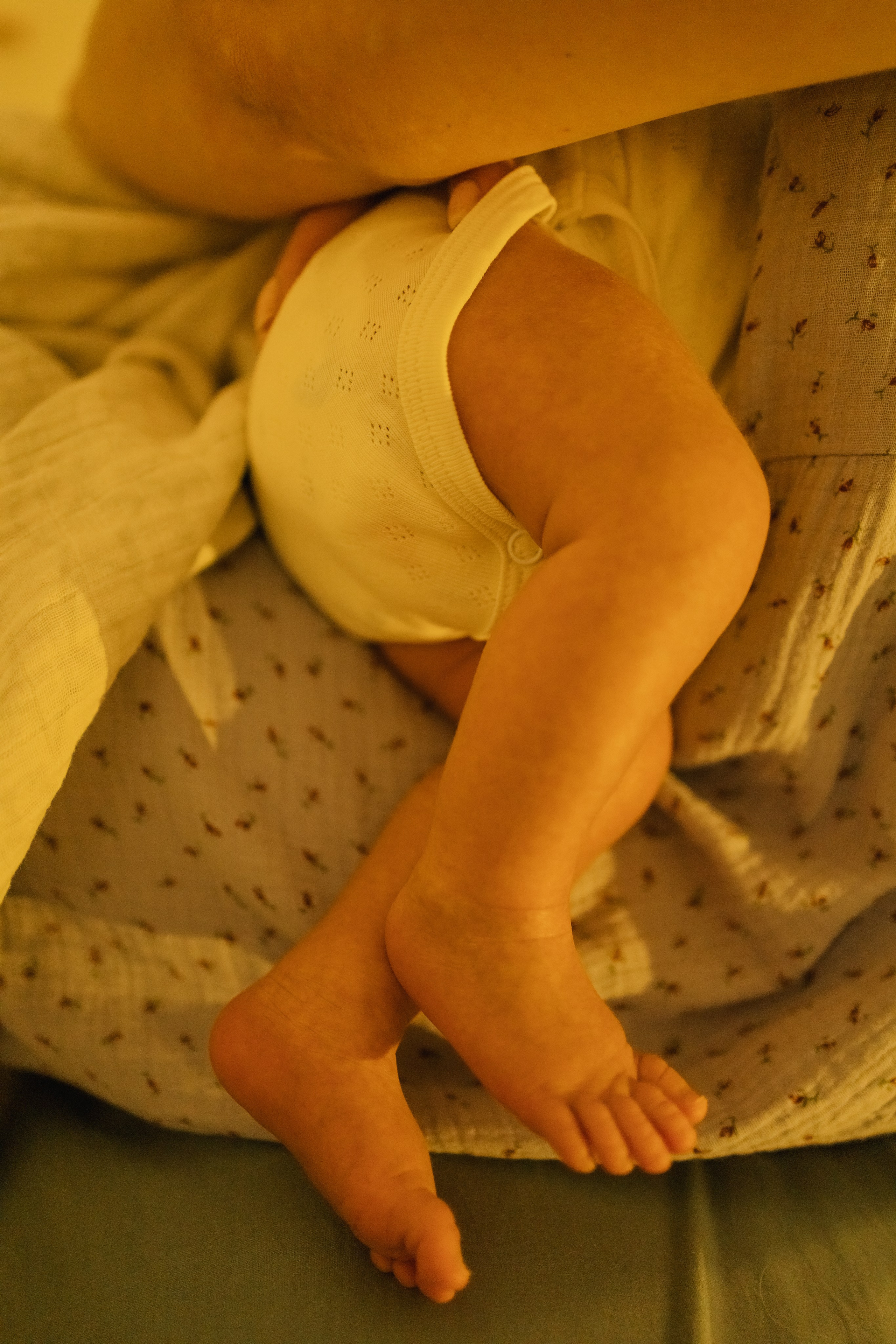 Мирослав и семья. Ангелина Богданова, междисциплинарная художница