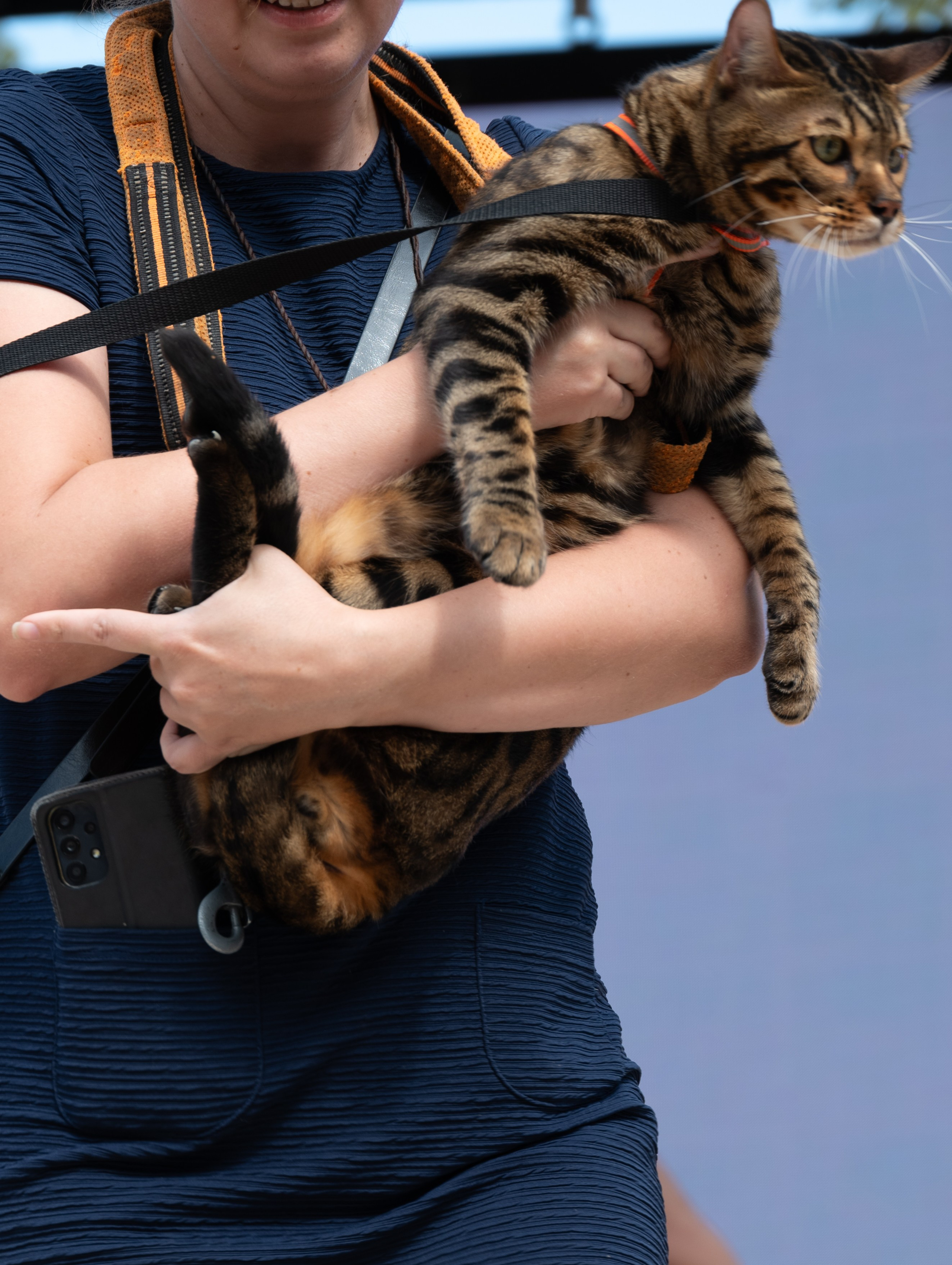 Pets Fest. Юлия Чайко, фотограф в Минске