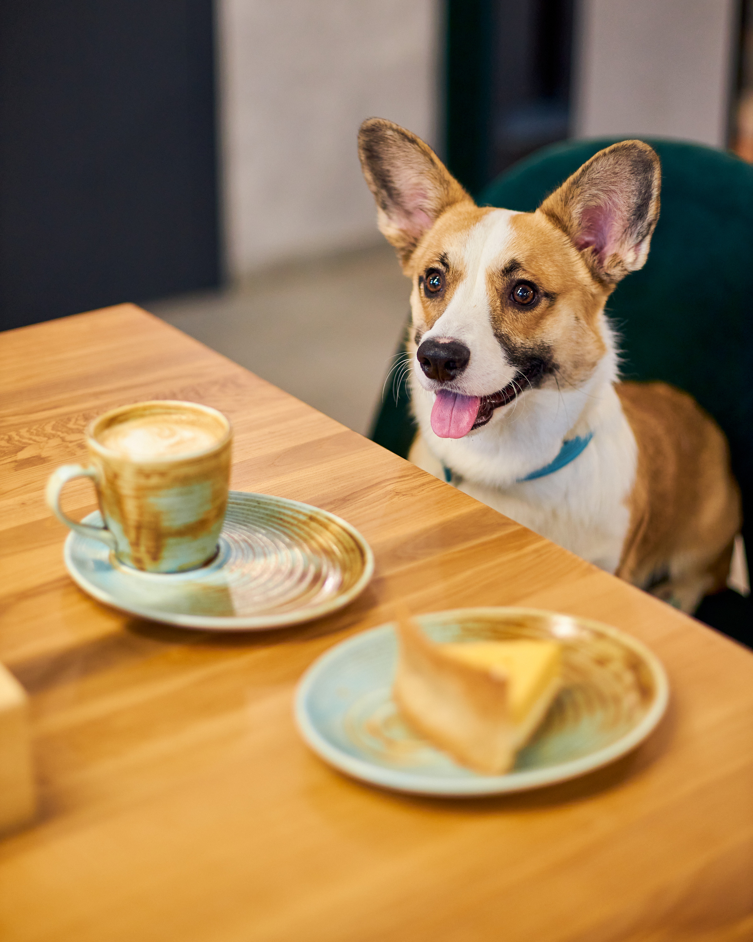 Фотосъемка для кафе Екатеринбург еда меню ресторан кофейня фуд фотограф Екб контент для бизнеса заказать съемка интерьера кафе цена. Фотограф Екатеринбург Анастасия Жерновская | Маркетплейсы и нейрофото