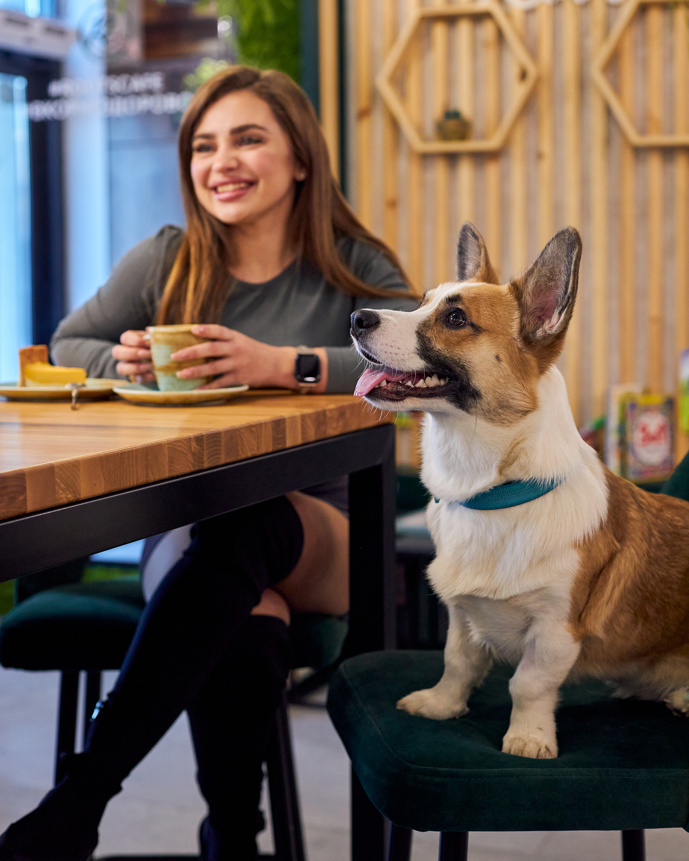 Фотосъемка для кафе Екатеринбург еда меню ресторан кофейня фуд фотограф Екб контент для бизнеса заказать съемка интерьера кафе цена. Фотограф Екатеринбург Анастасия Жерновская | Маркетплейсы и нейрофото