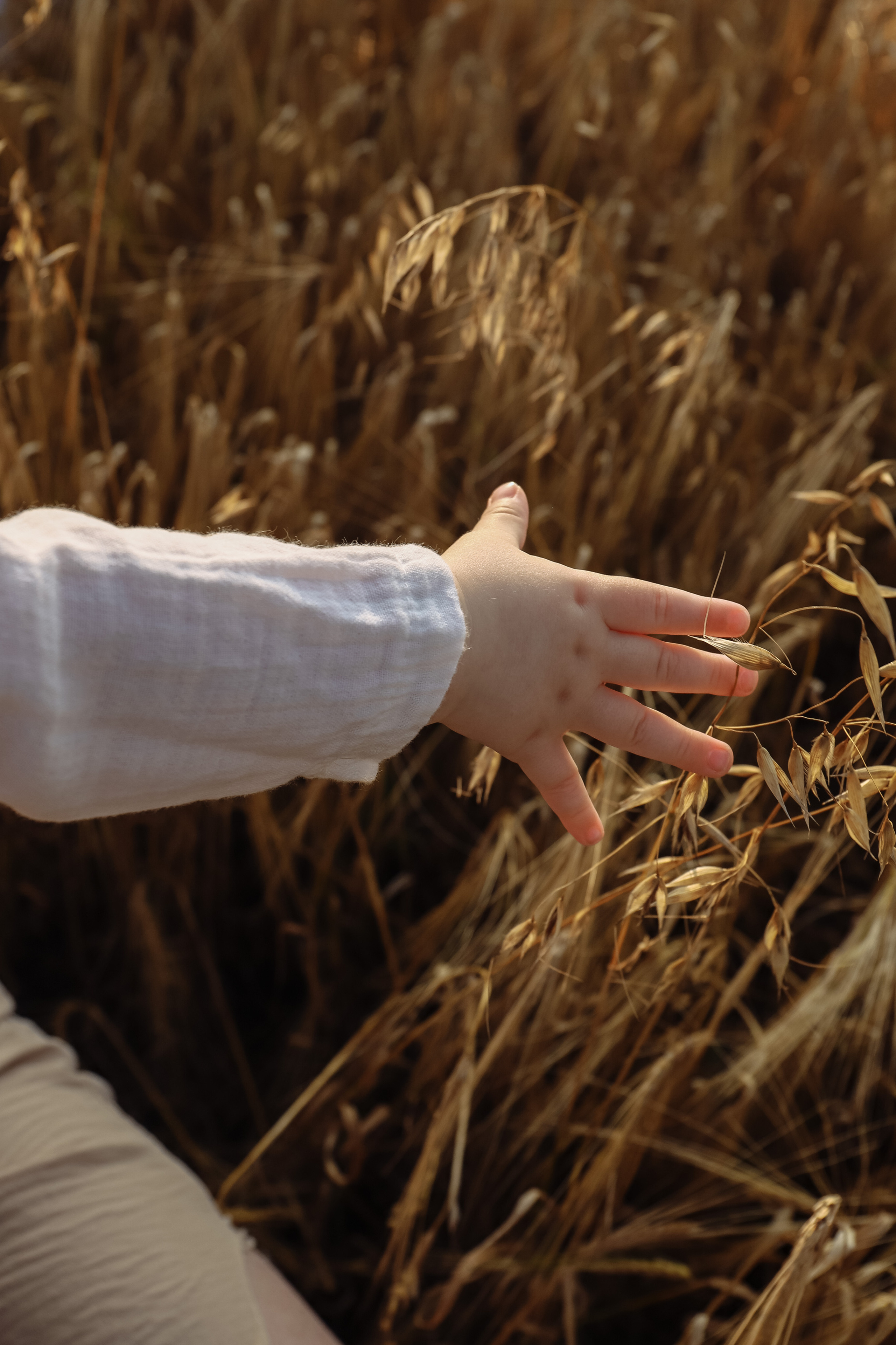 Семейные ❤️. Семейный и свадебный фотограф в г. Белгород