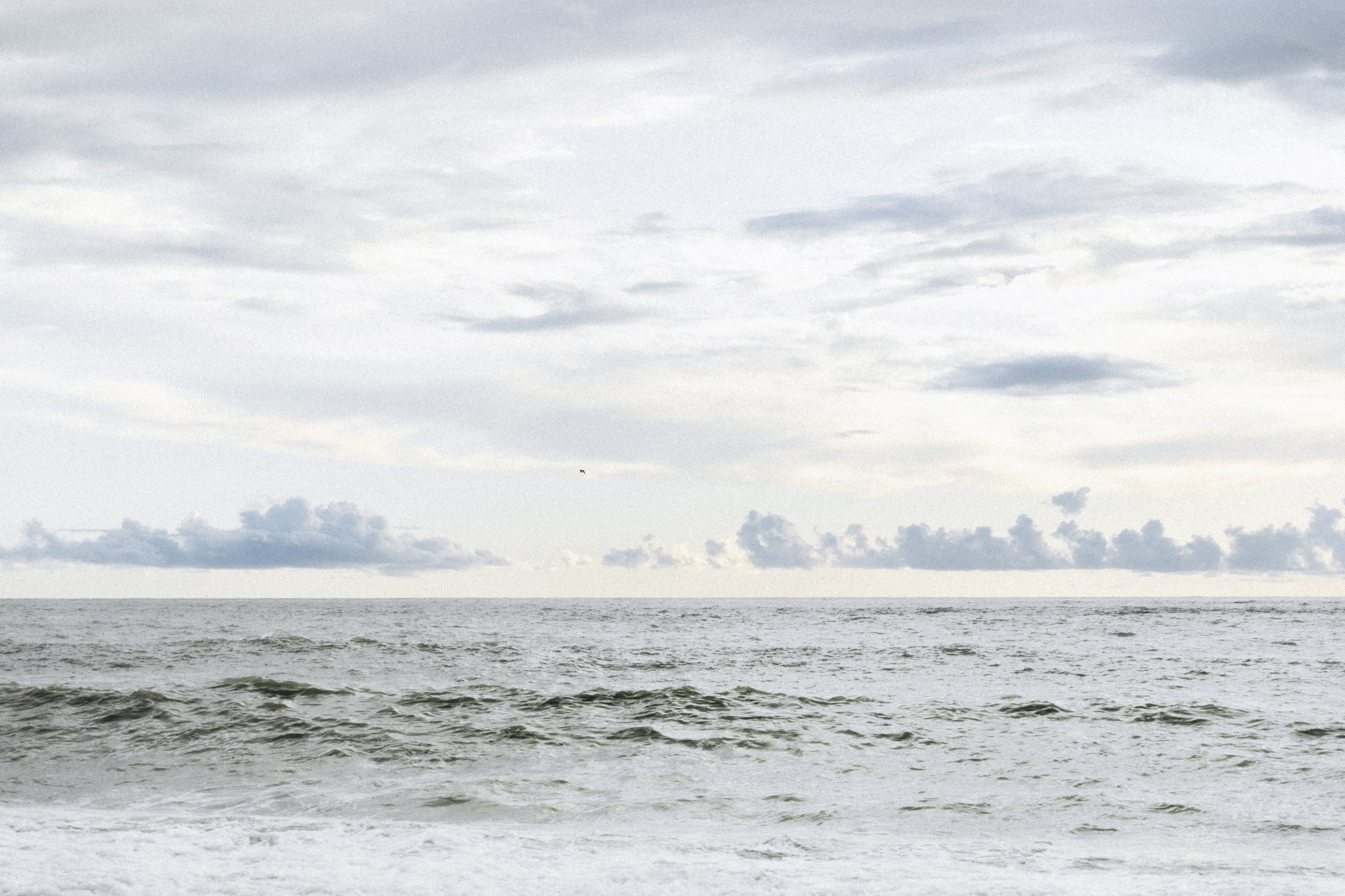 В штормовое предупреждение. Фотограф Сочи Адлер Сириус Красная Поляна Ошутина Анастасия
