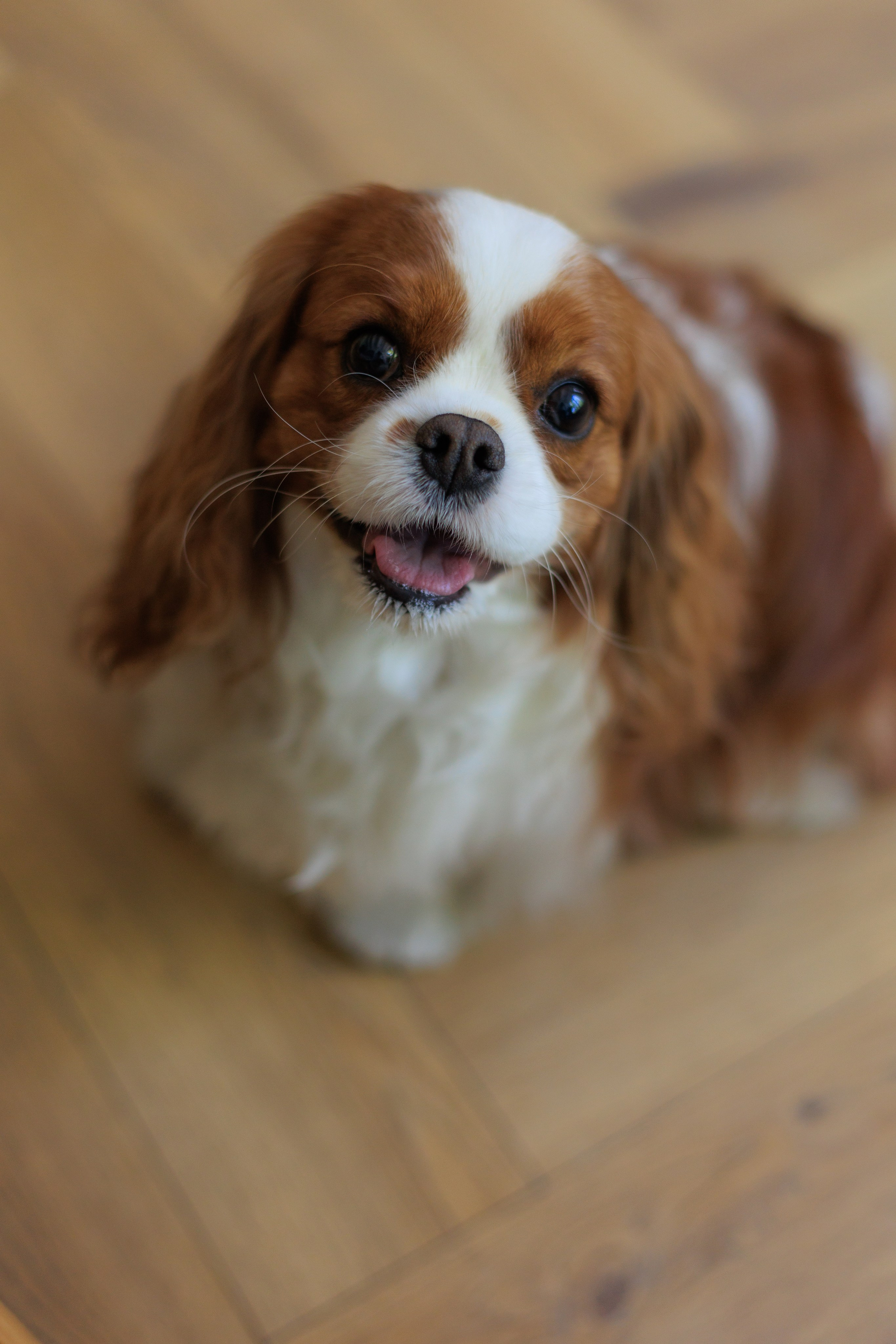 ПОЛИНА. Я фотограф из Москвы к Вашим услугам