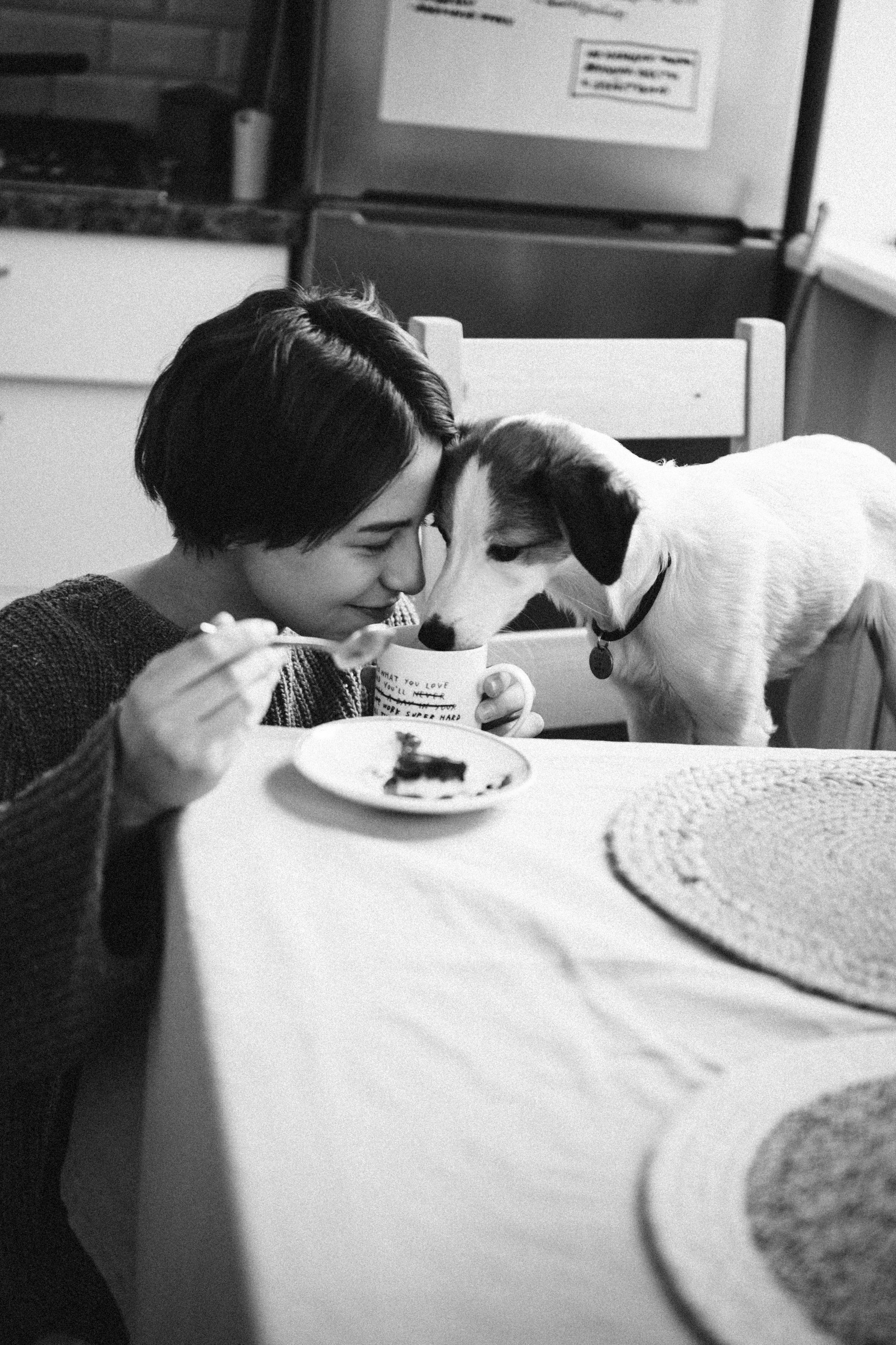 Лика и Клео. Свадебный фотограф Оля Григунова