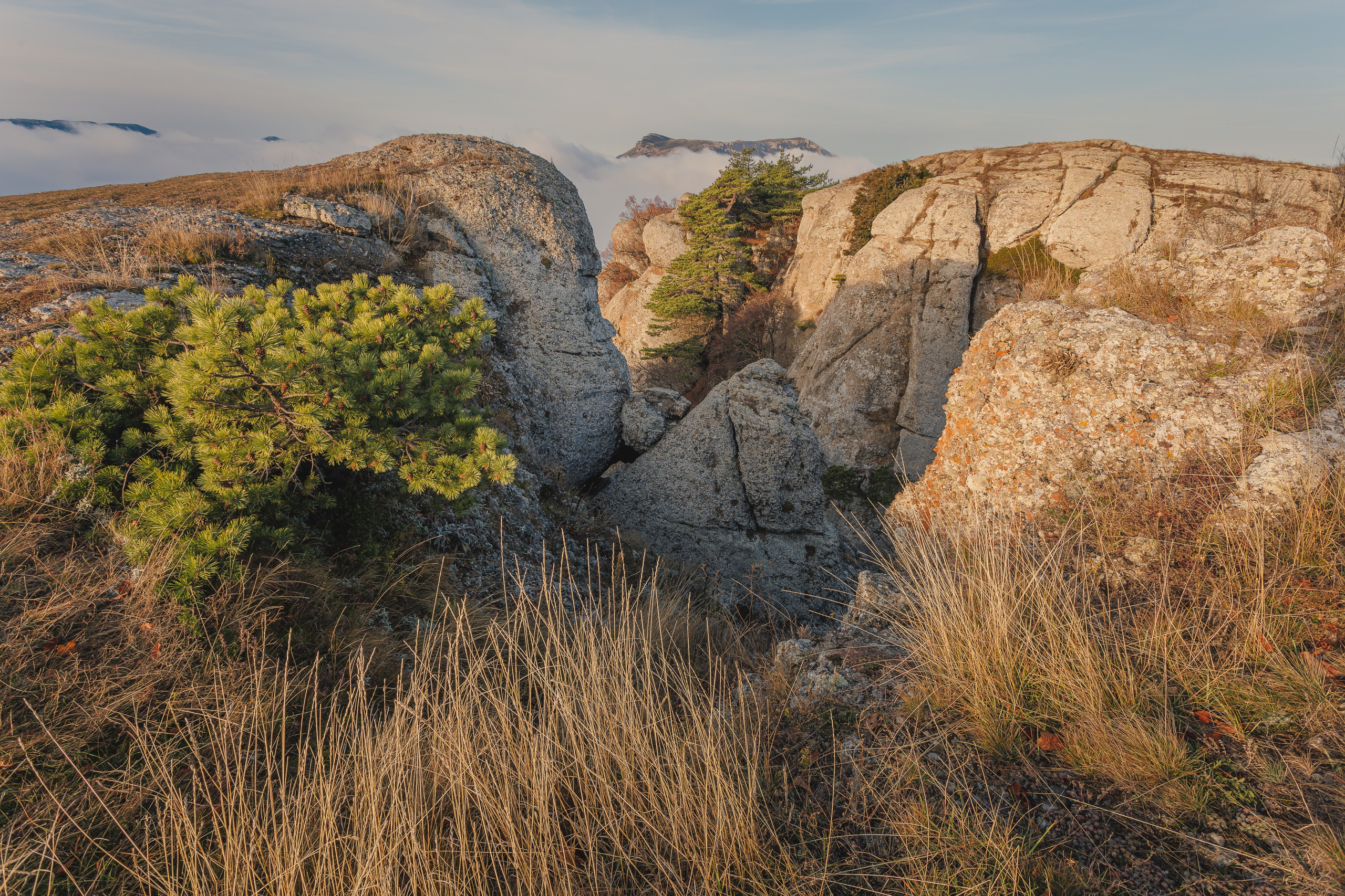 Пейзажная фотография. Фотошкола ArtFotoLife для начинающих и продвинутых фотографов