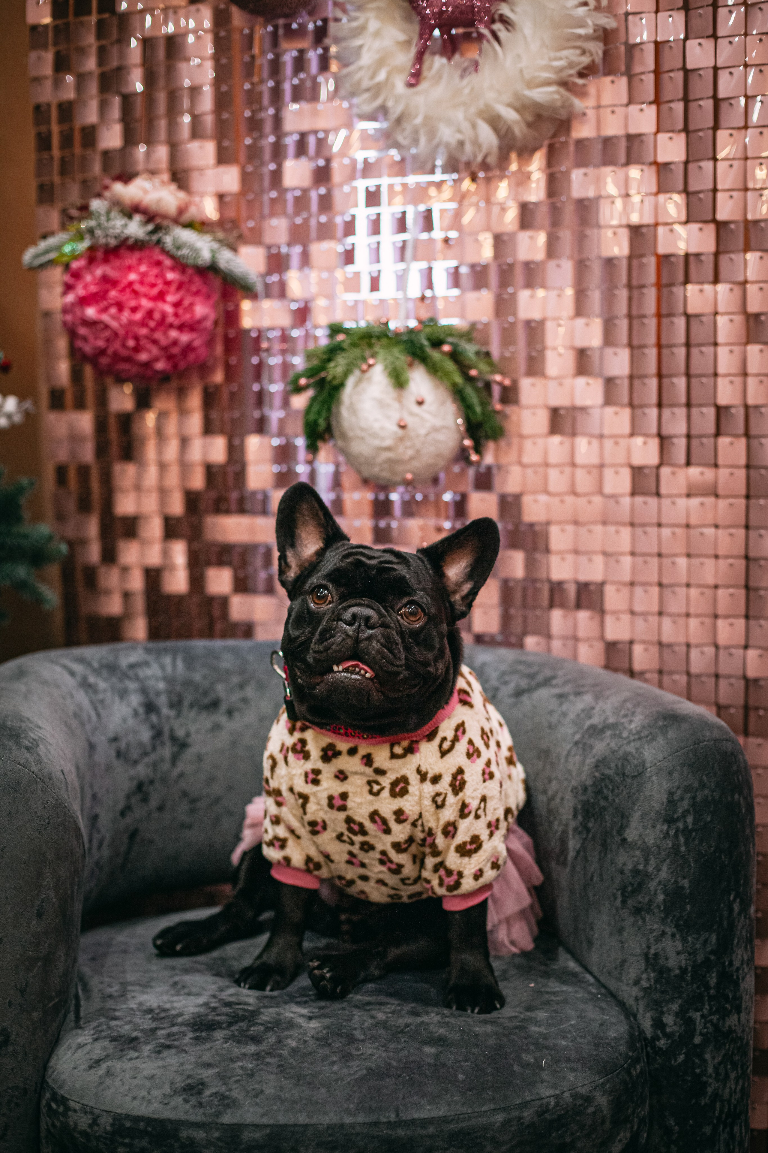 Бульёлка 2024. Фотограф-анималист Татьяна Степанова