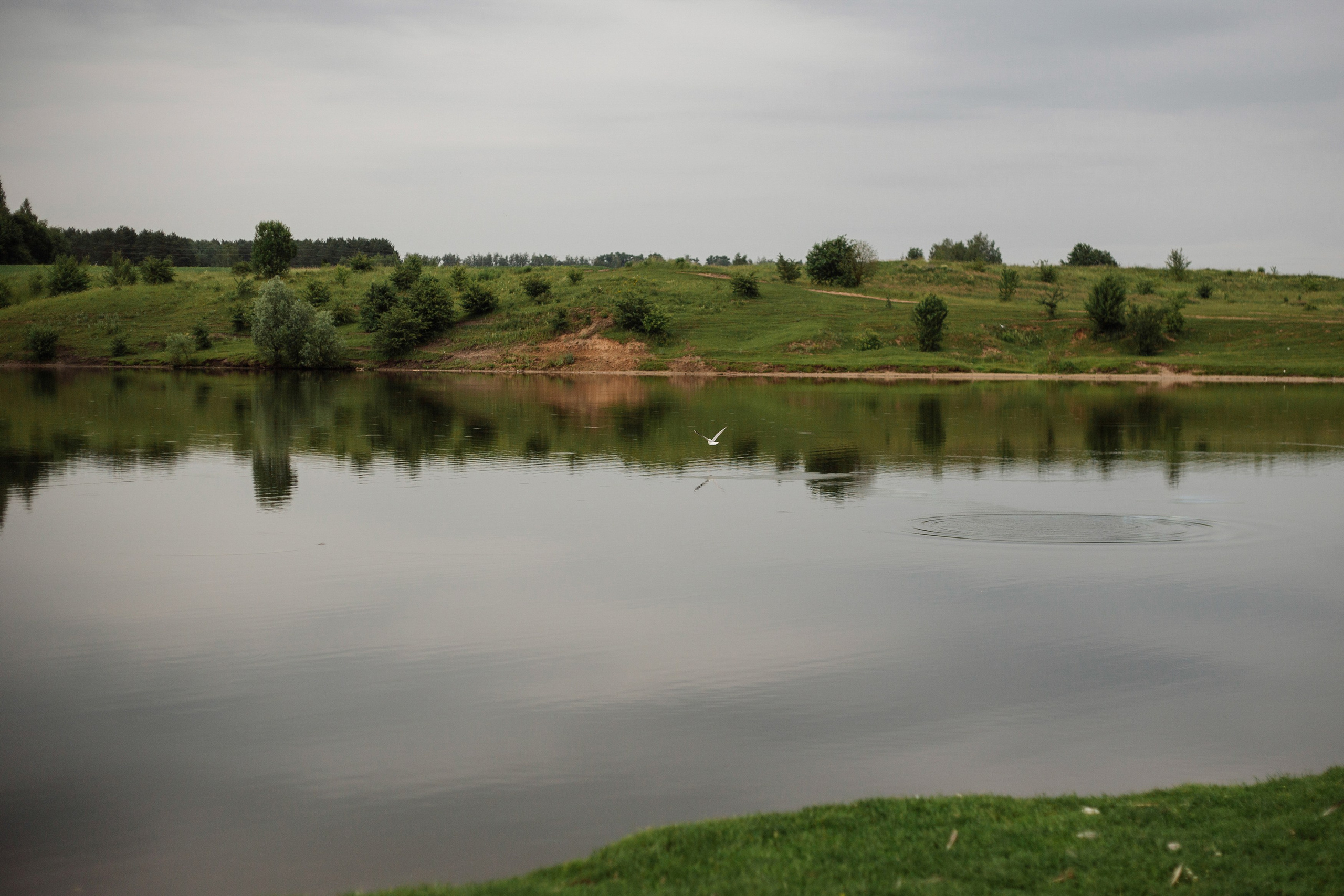 Дмитрий, Ольга и Верочка. Портретный, семейный, свадебный фотограф в Брянске Маргарита Василькова