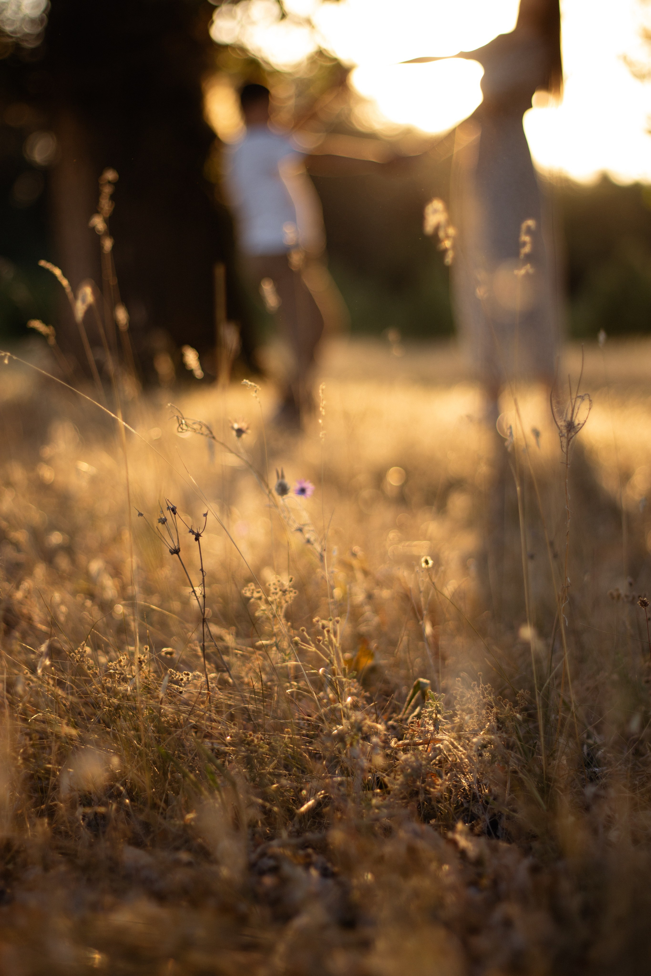 Elena + George. Lusy Redina | Семейный Фотограф | Волгоград