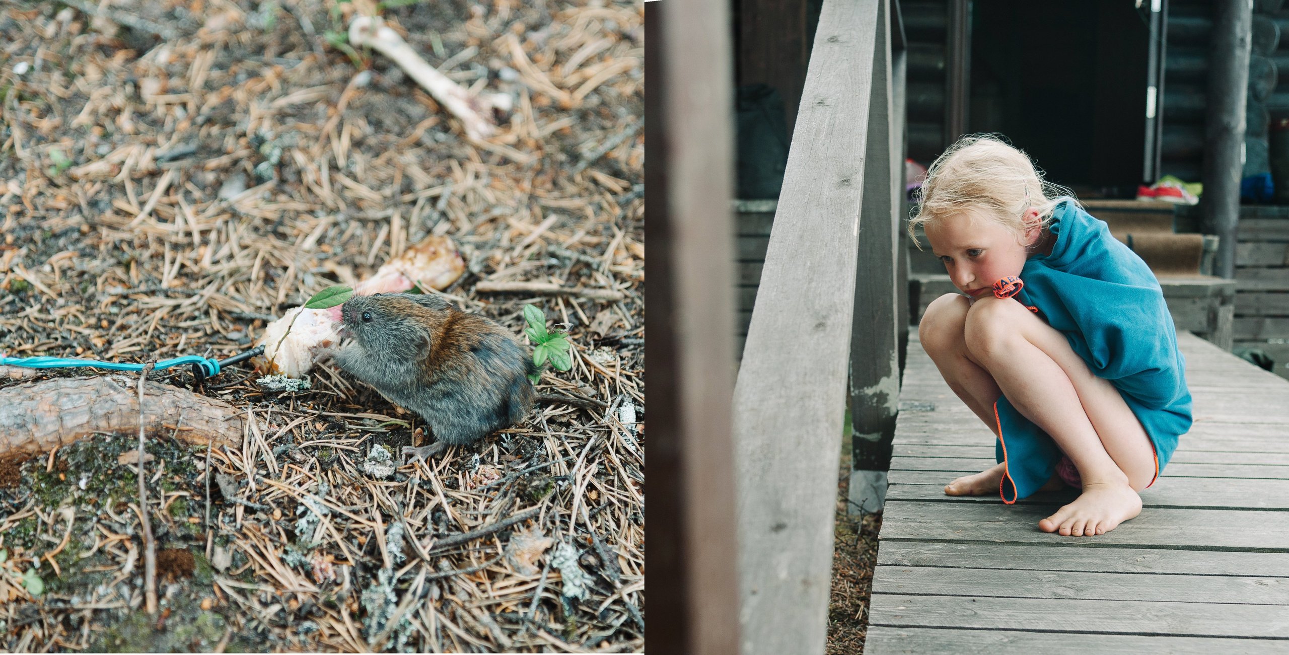 Белое море. Фотограф Алиса Калинина