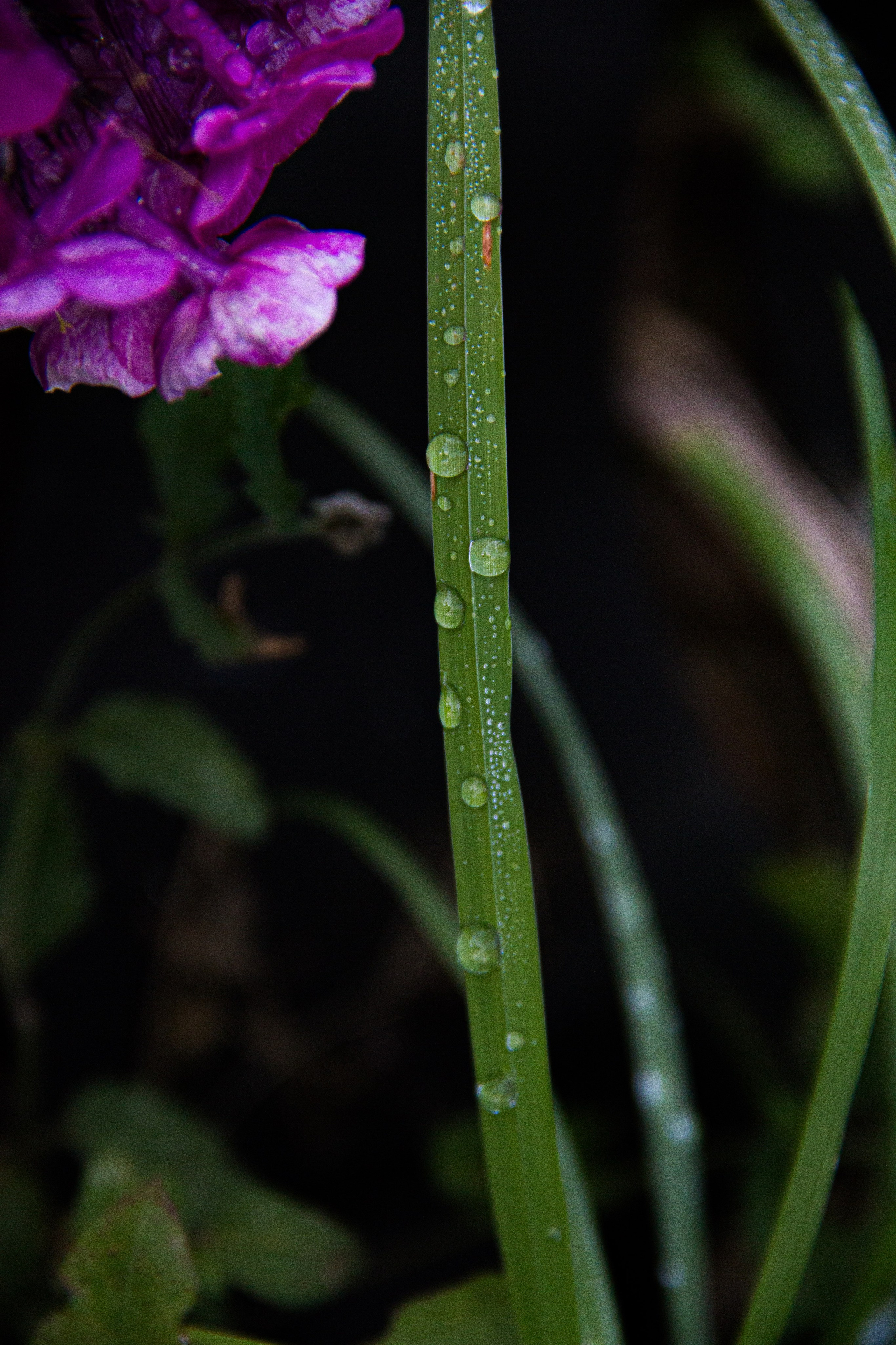 Subject: в саду. Фотограф в Перми Любовь Огородова | Авторские туры