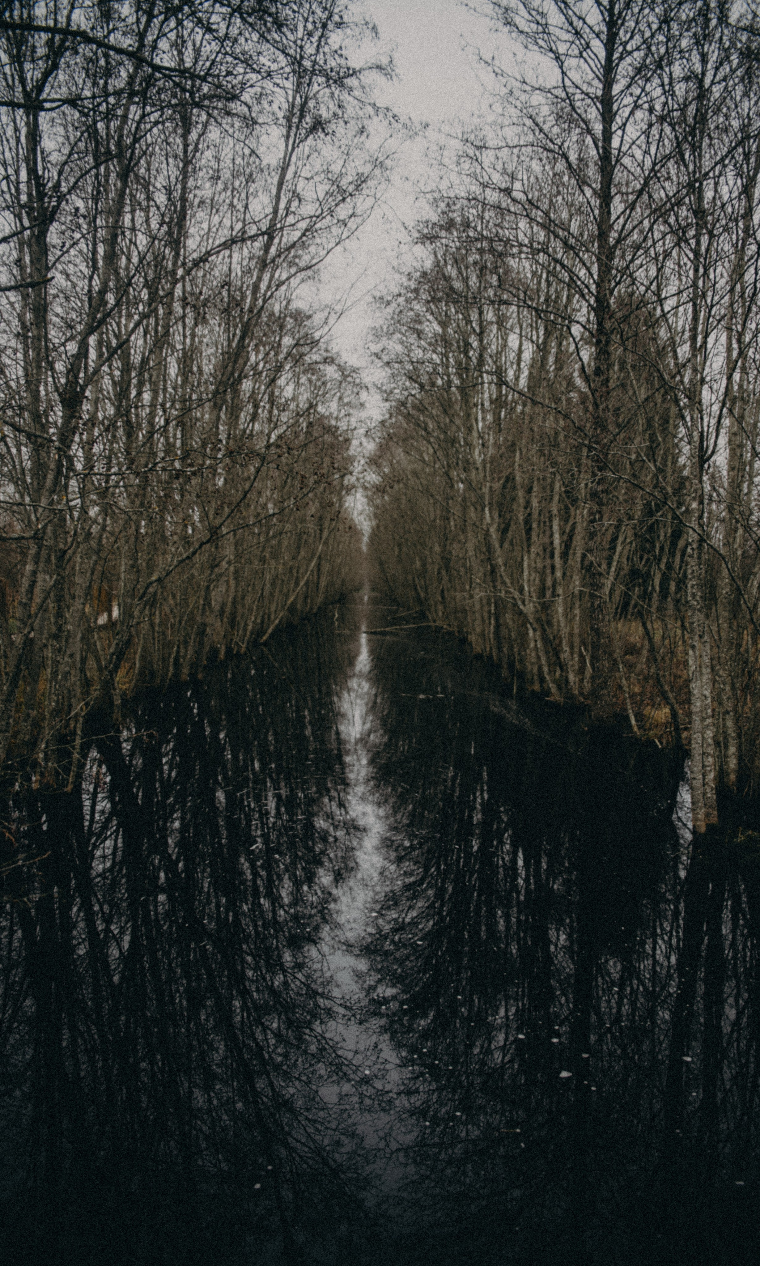 Ельня, Беларусь. Anita_photo