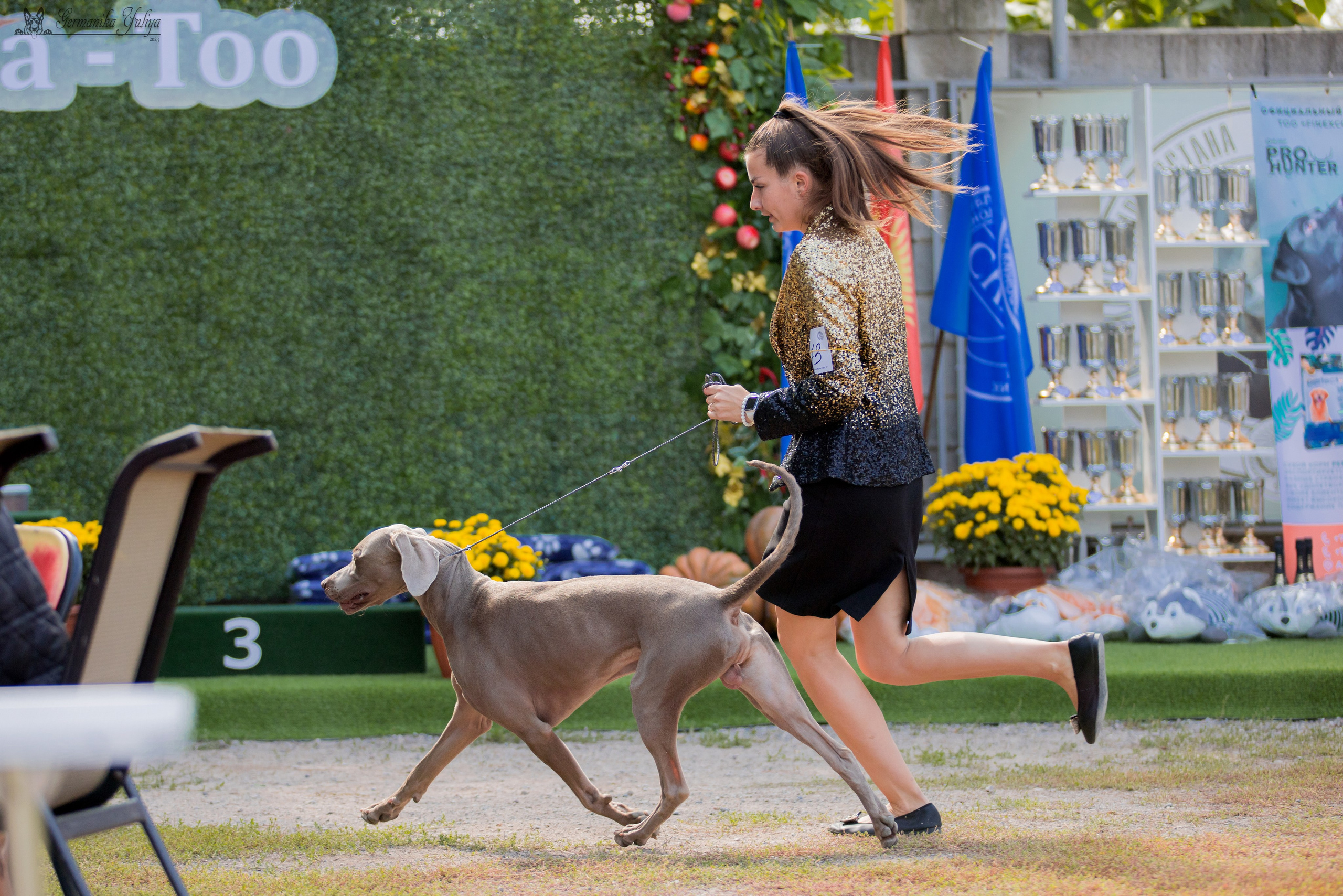 Бишкек 29.09-01.10.2023. Фотограф-анималист Юлия Германика