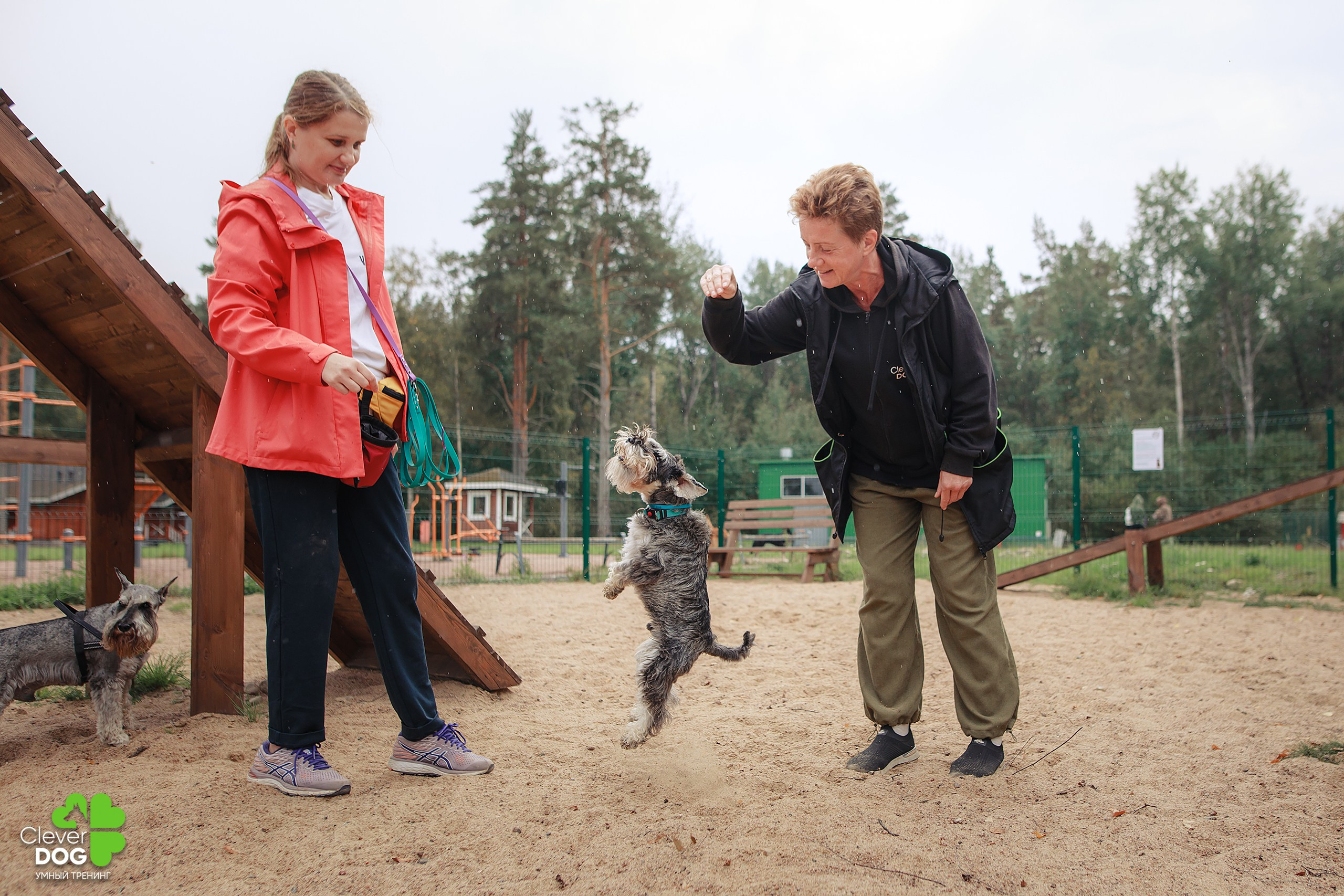 Кинологический лагерь CleverDog, 2024. Фотограф-анималист Mary Mart — Москва, Питер