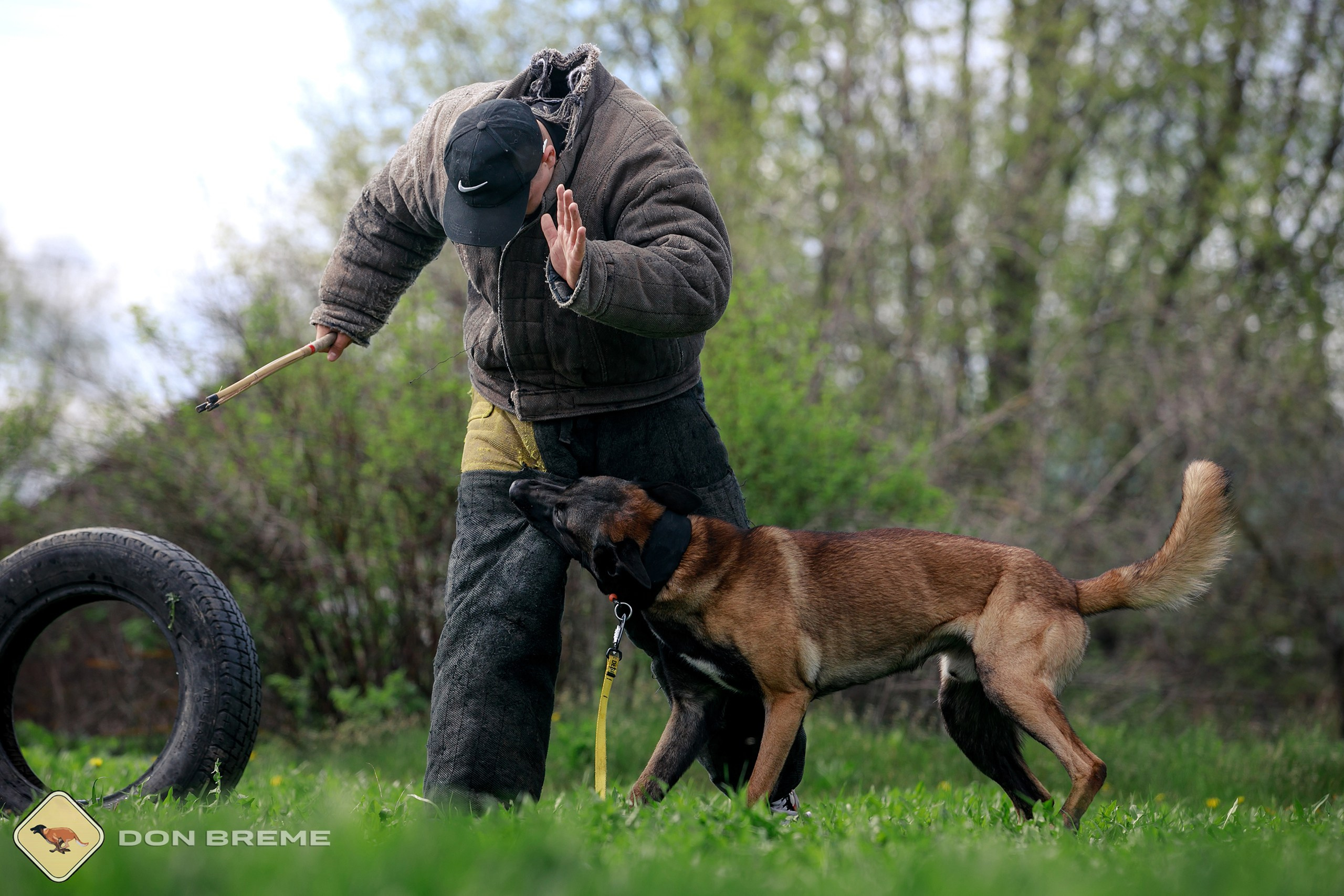 Семинар для фигурантов, день 2. Фотограф-анималист Mary Mart — Москва, Питер