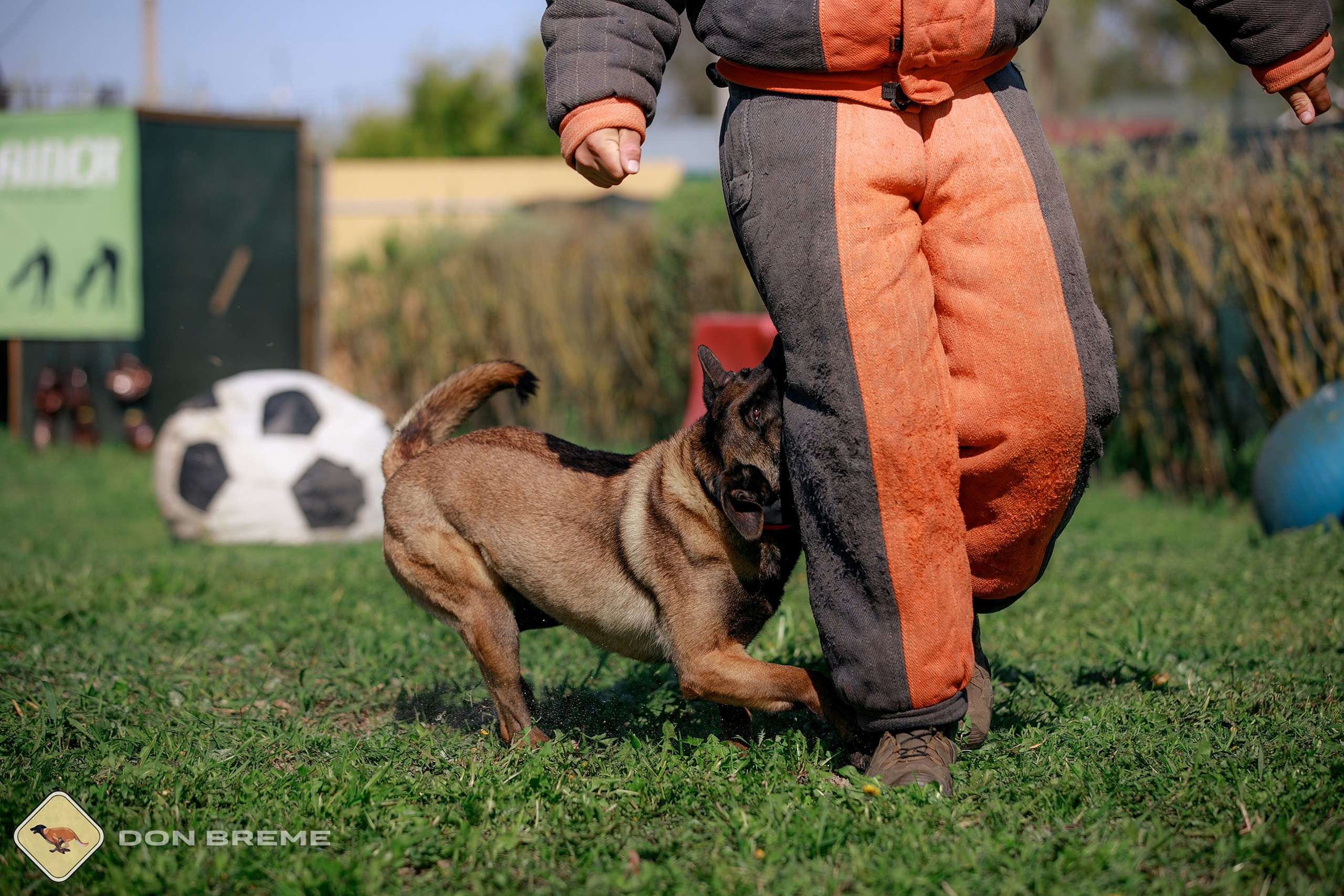 Семинар для фигурантов, день 4. Фотограф-анималист Mary Mart — Москва, Питер