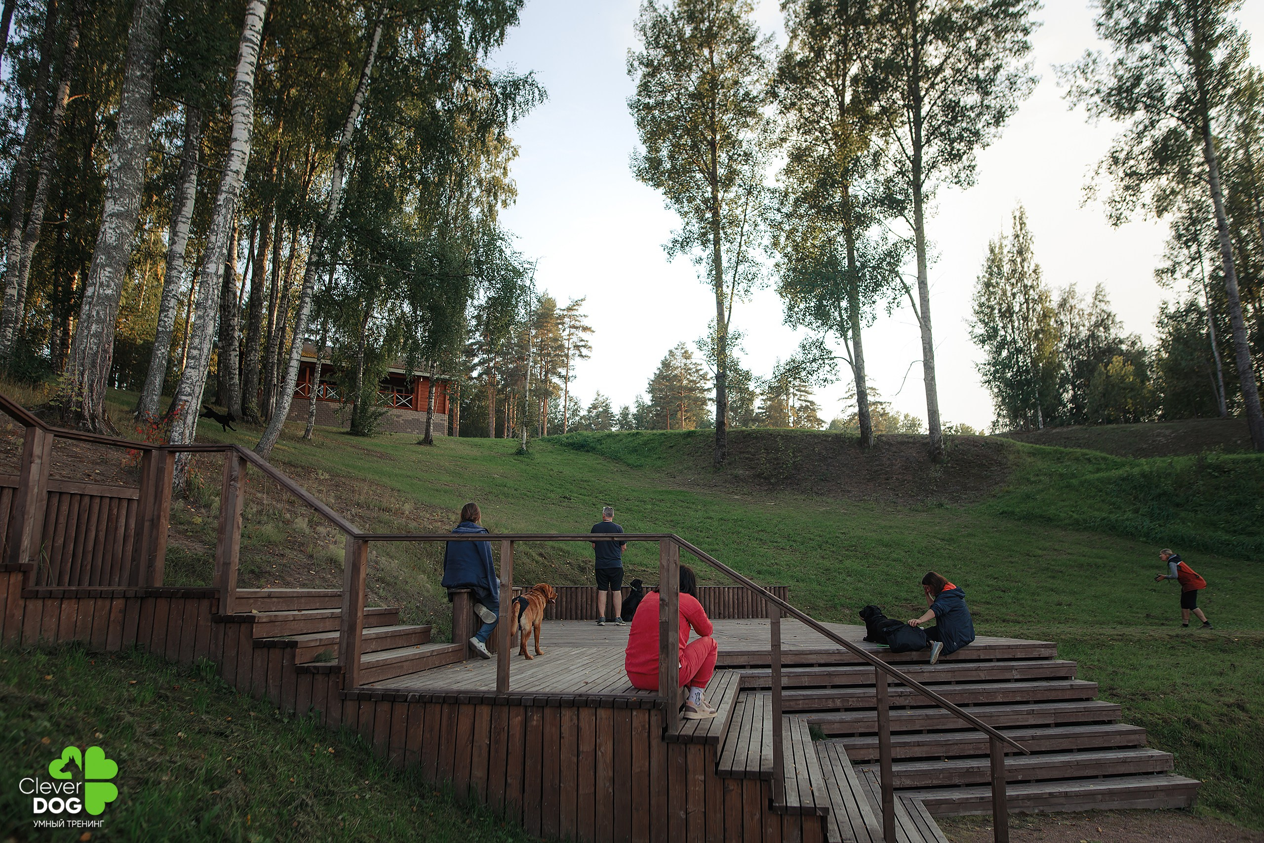 Кинологический лагерь CleverDog, 2024. Фотограф-анималист Mary Mart — Москва, Питер