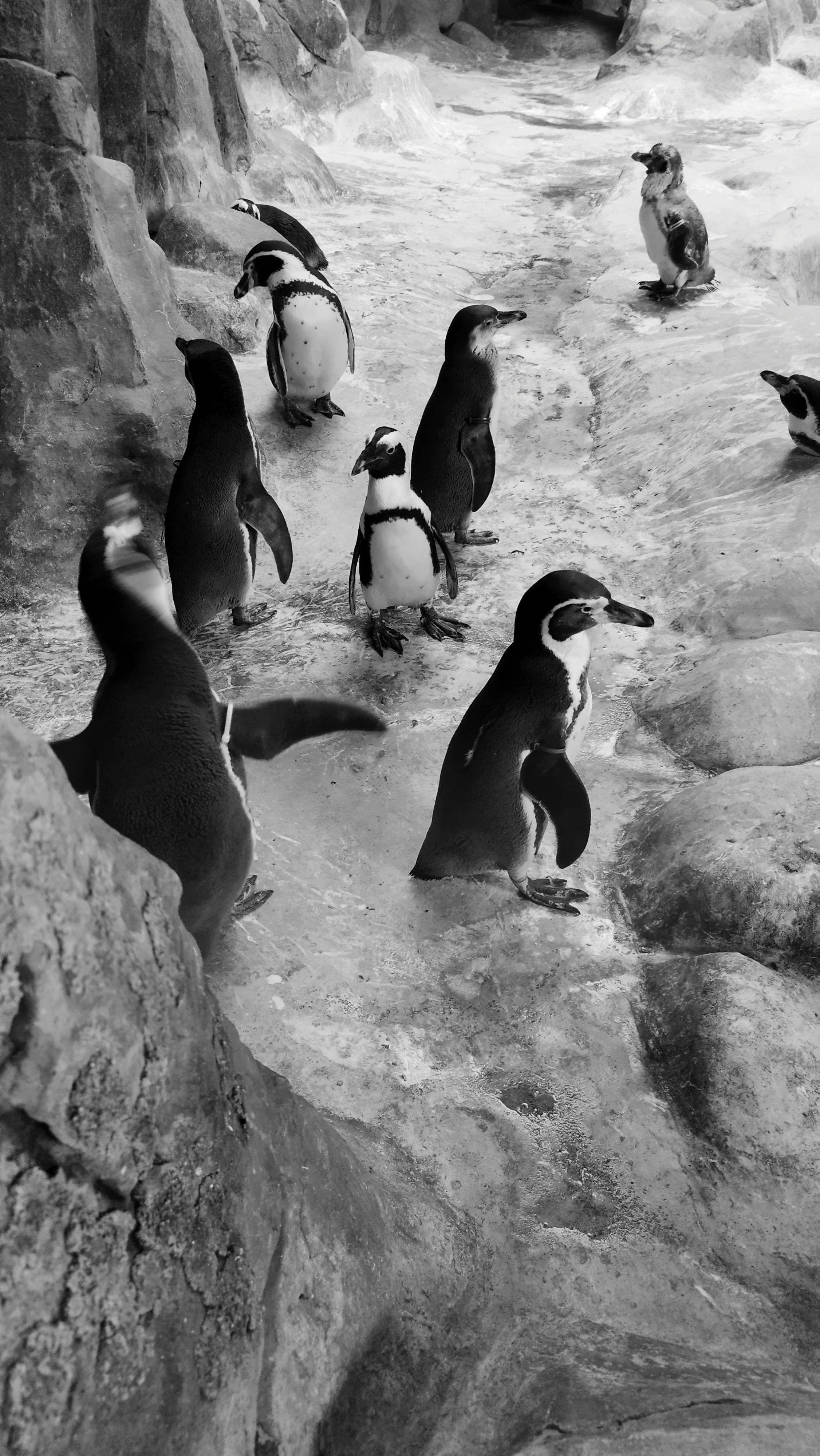 Приглашаем в арт-лагерь в Москве для детей!. Арт-вечеринки и мастер-классы в Москве для взрослых и детей