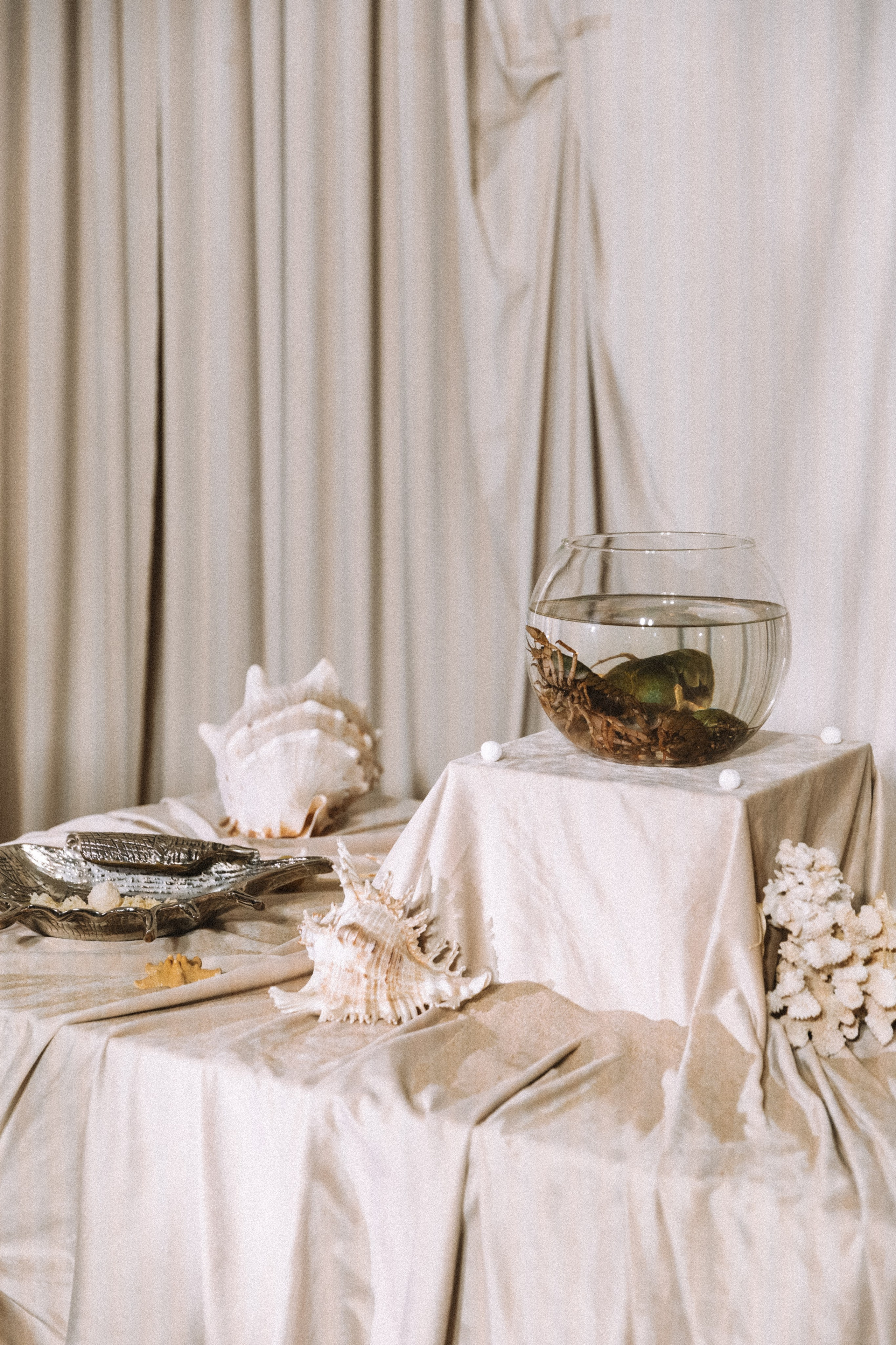 Свадьба в эстетике Mermaid core. Фотограф и видеограф Анна Домашенко