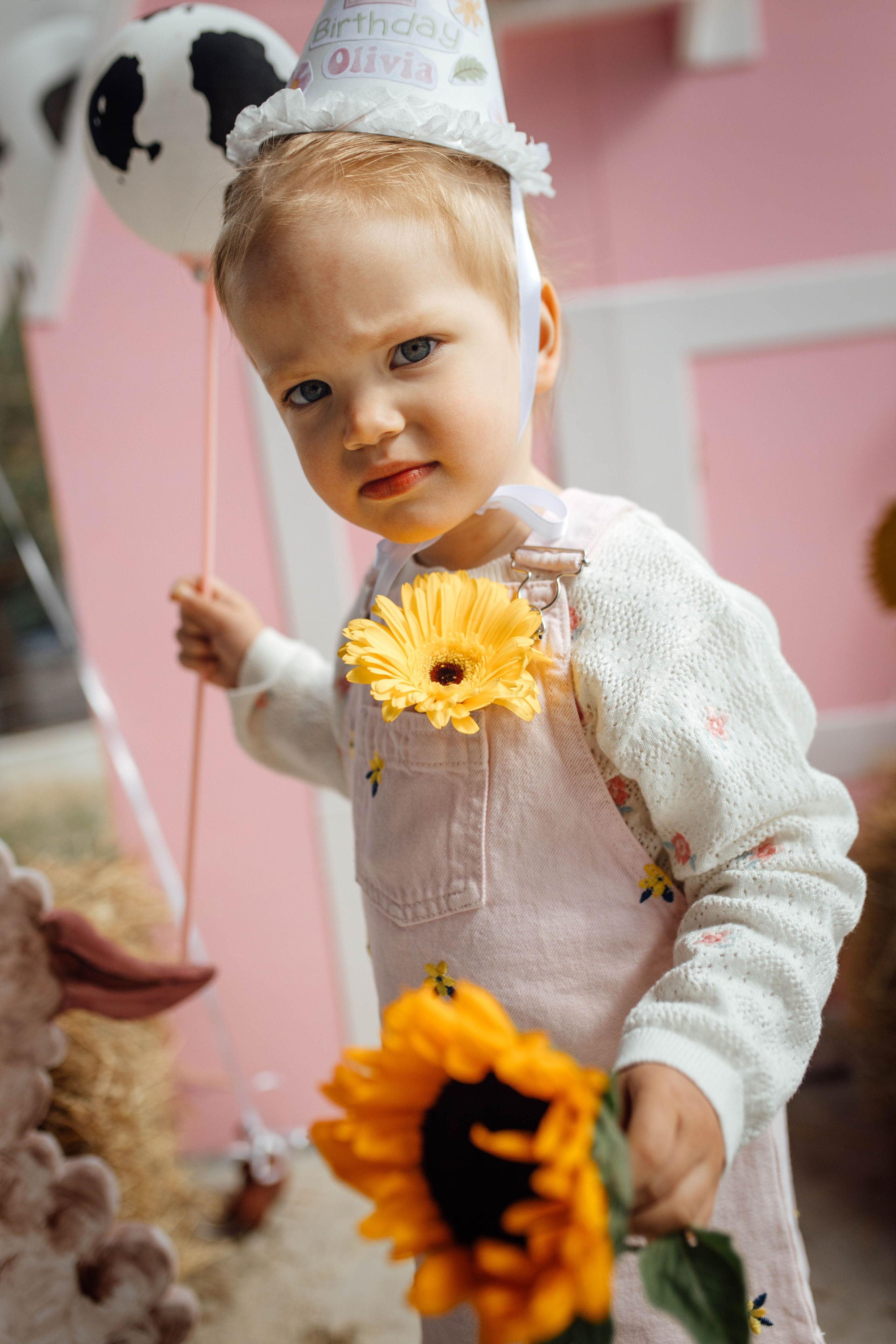 Репортаж дома, др