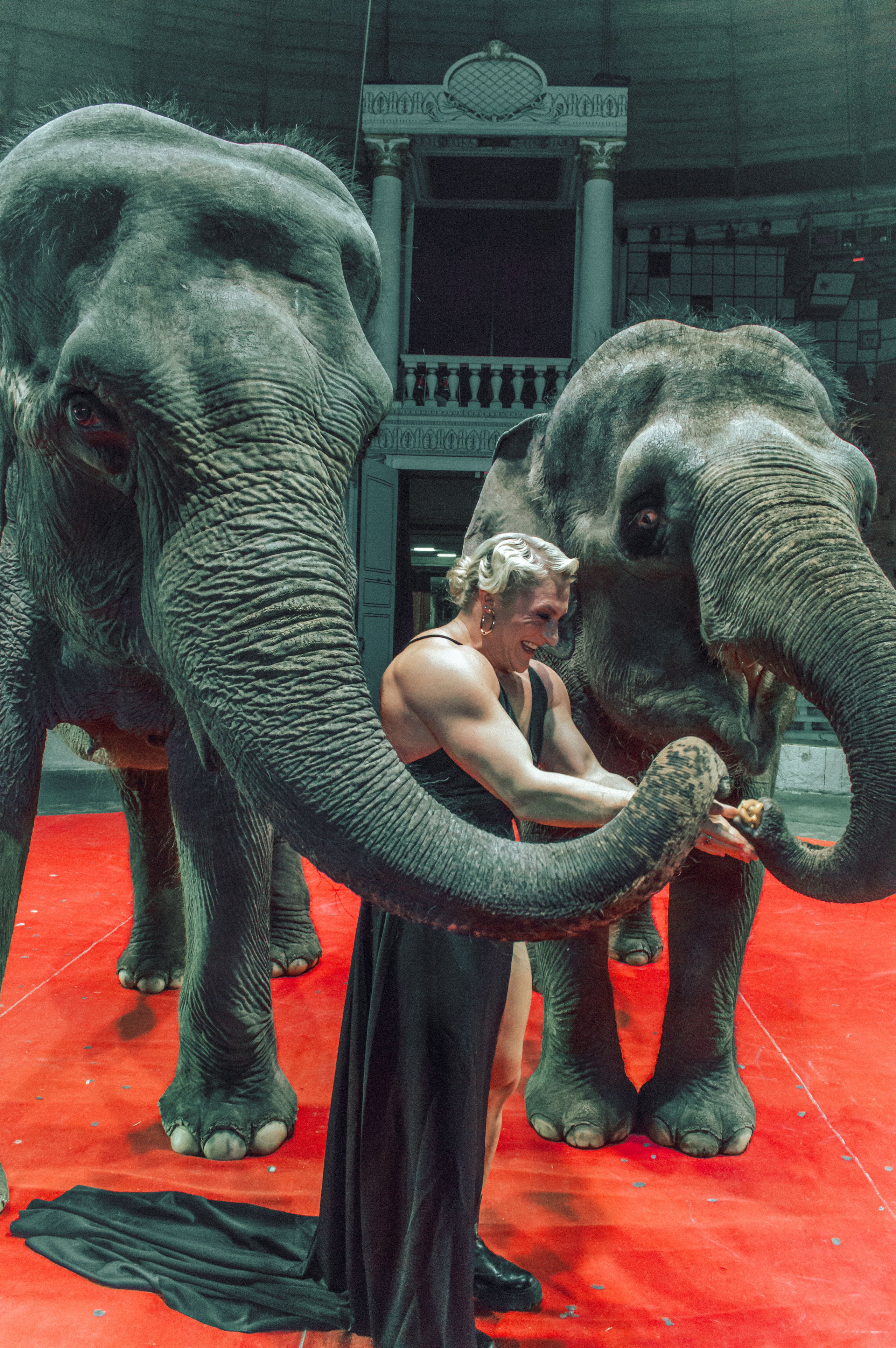 Екатерина. Главная