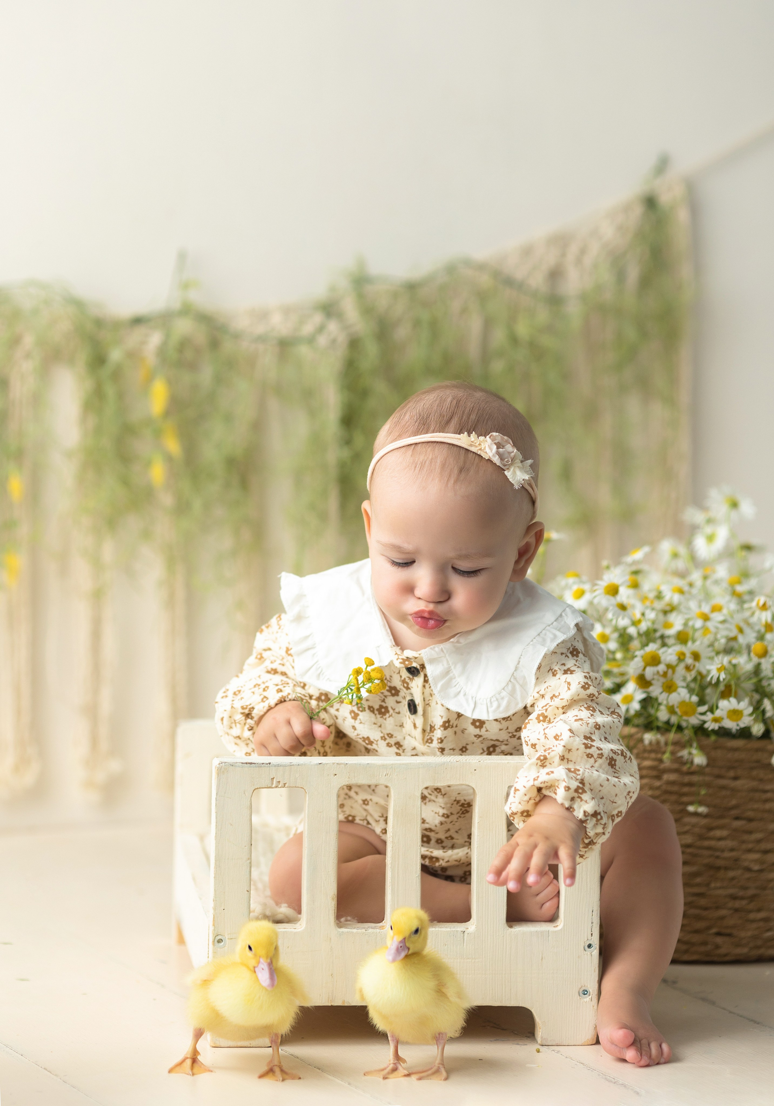 Утки. Главная