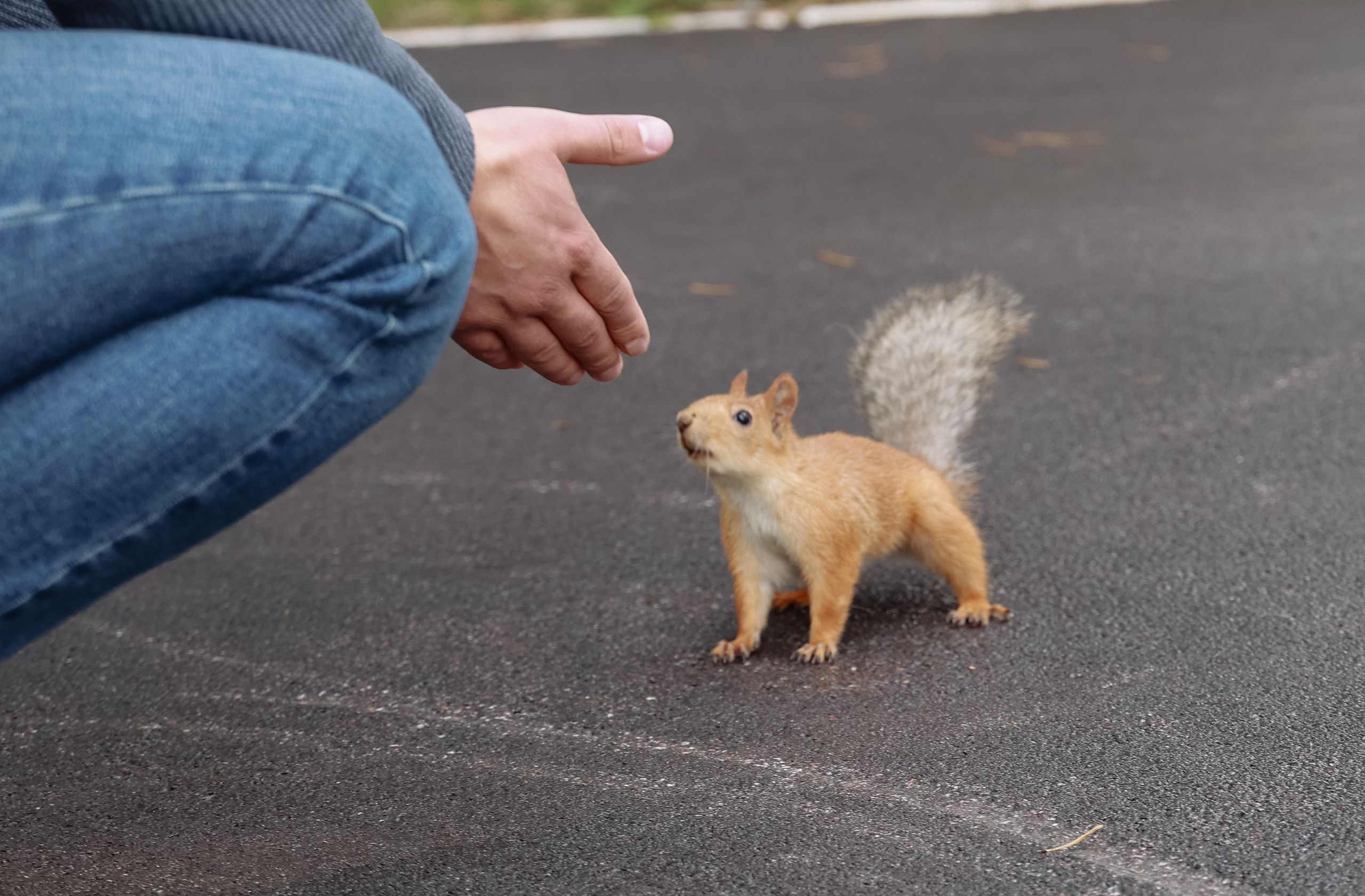 Корпоратив Комплект-Айс в Борвихе. Фотограф Юлия Мальцева
