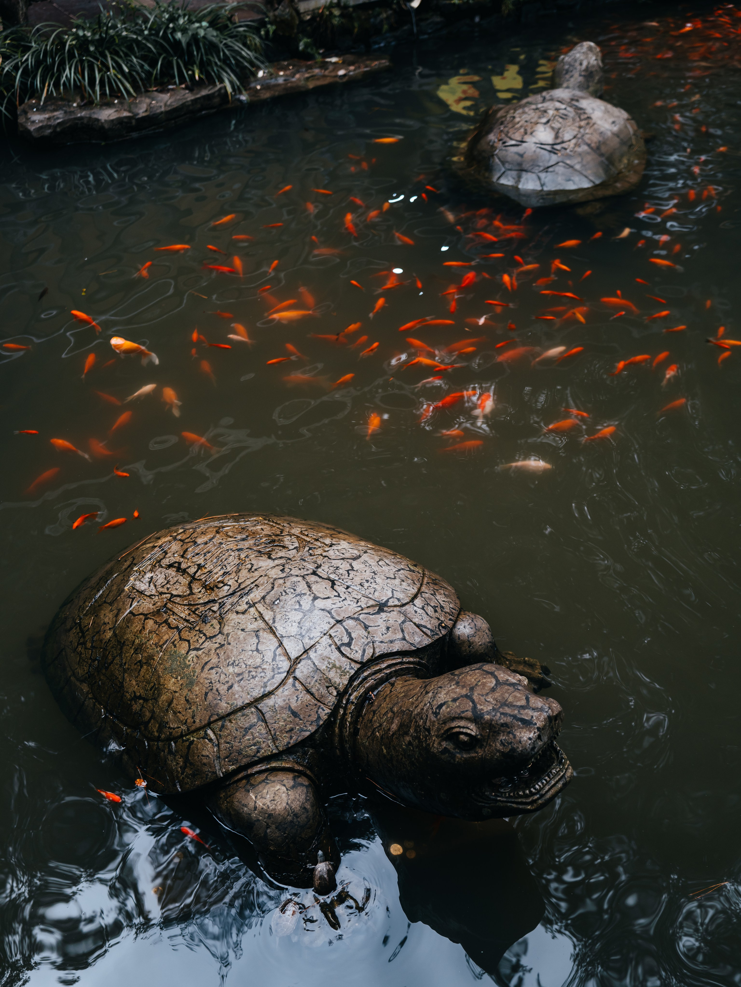 China/Китай. @tomrus: Рустам Шагиморданов — фотограф