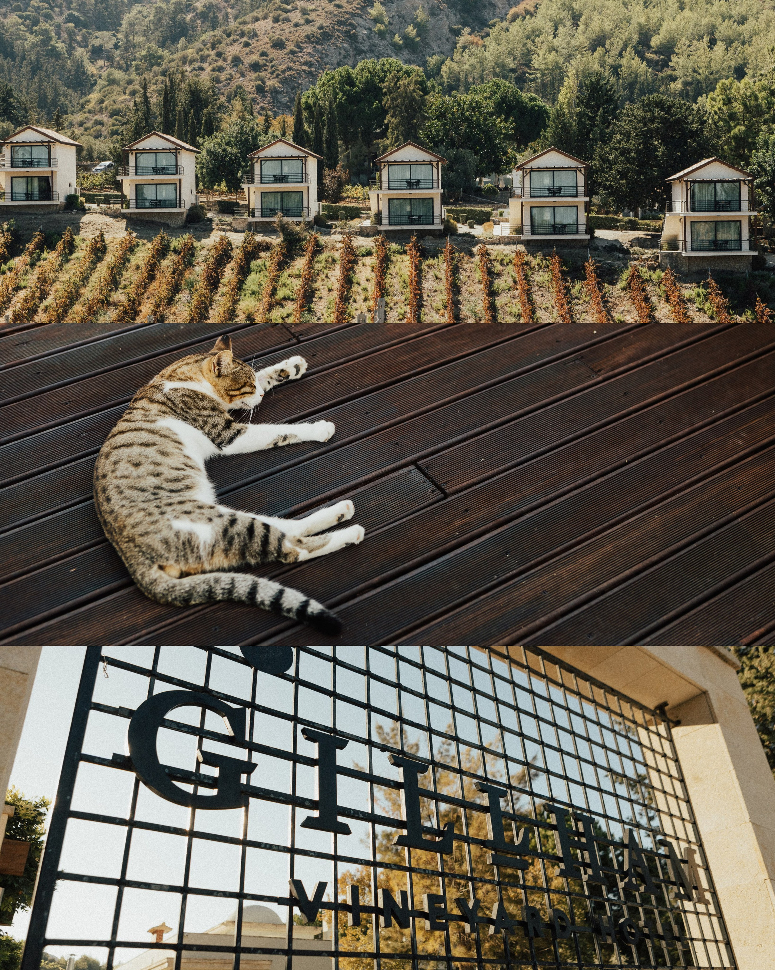 L&A. Фотограф в Батуми Павел Шарников