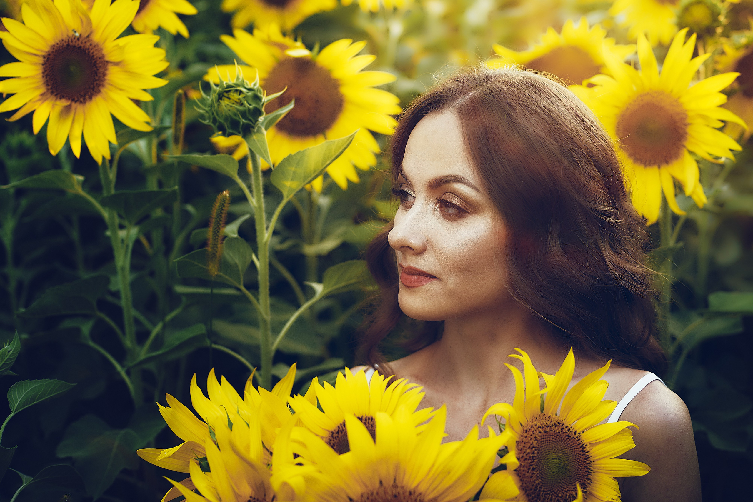 Ольга. Подсолнухи. Петр Ступень. Свадебное, семейное фото и видео. Москва. Краснодар