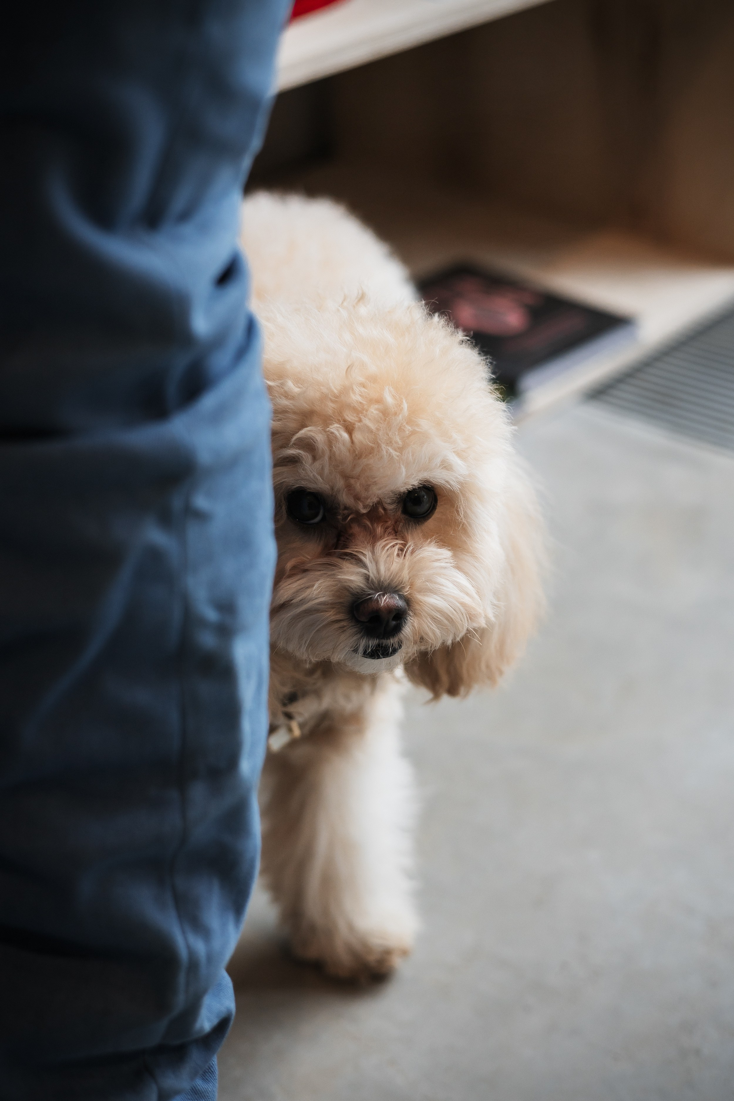 Алина — прогулка