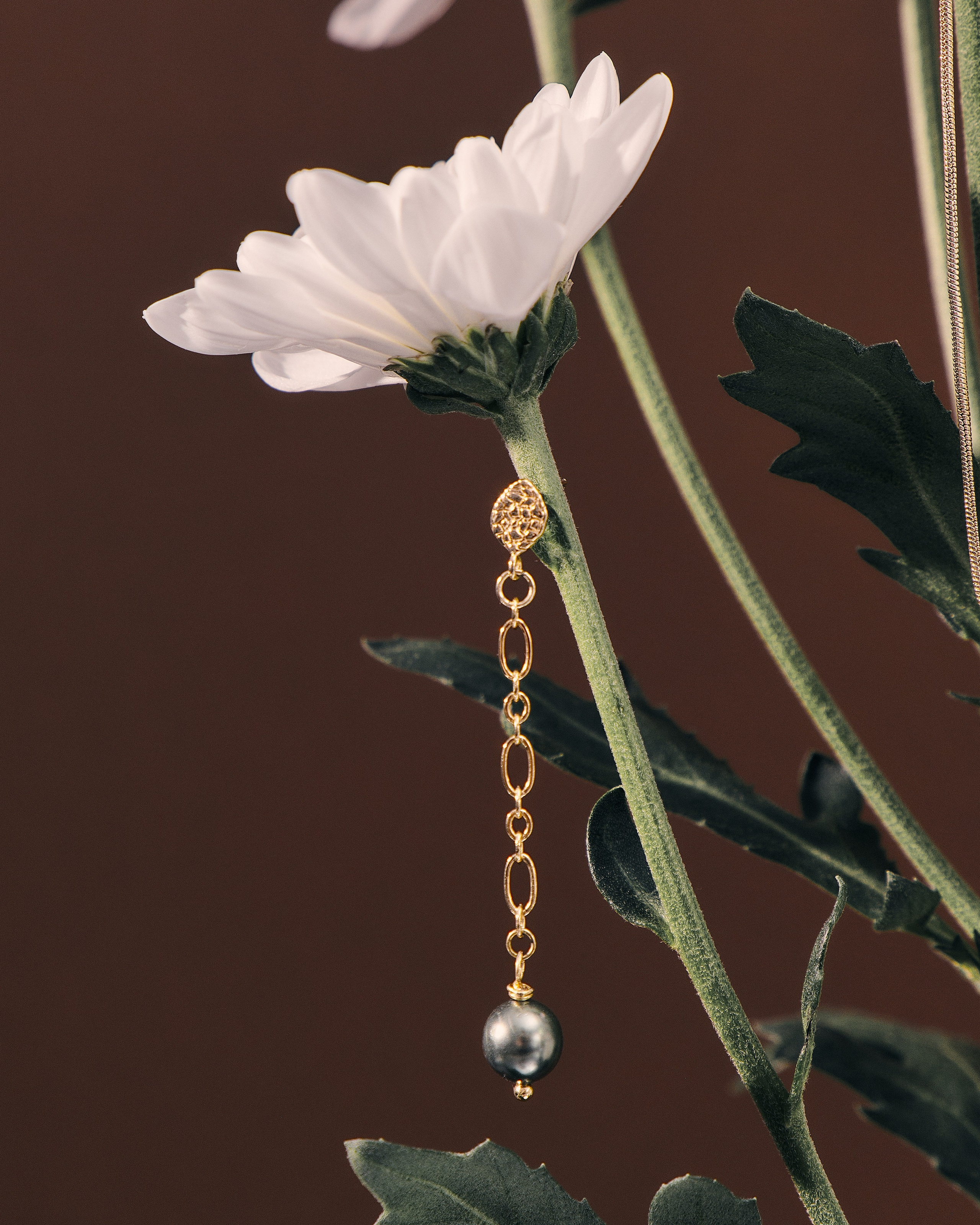 · OBJECTS ·. Фотограф и арт-директор в Алматы