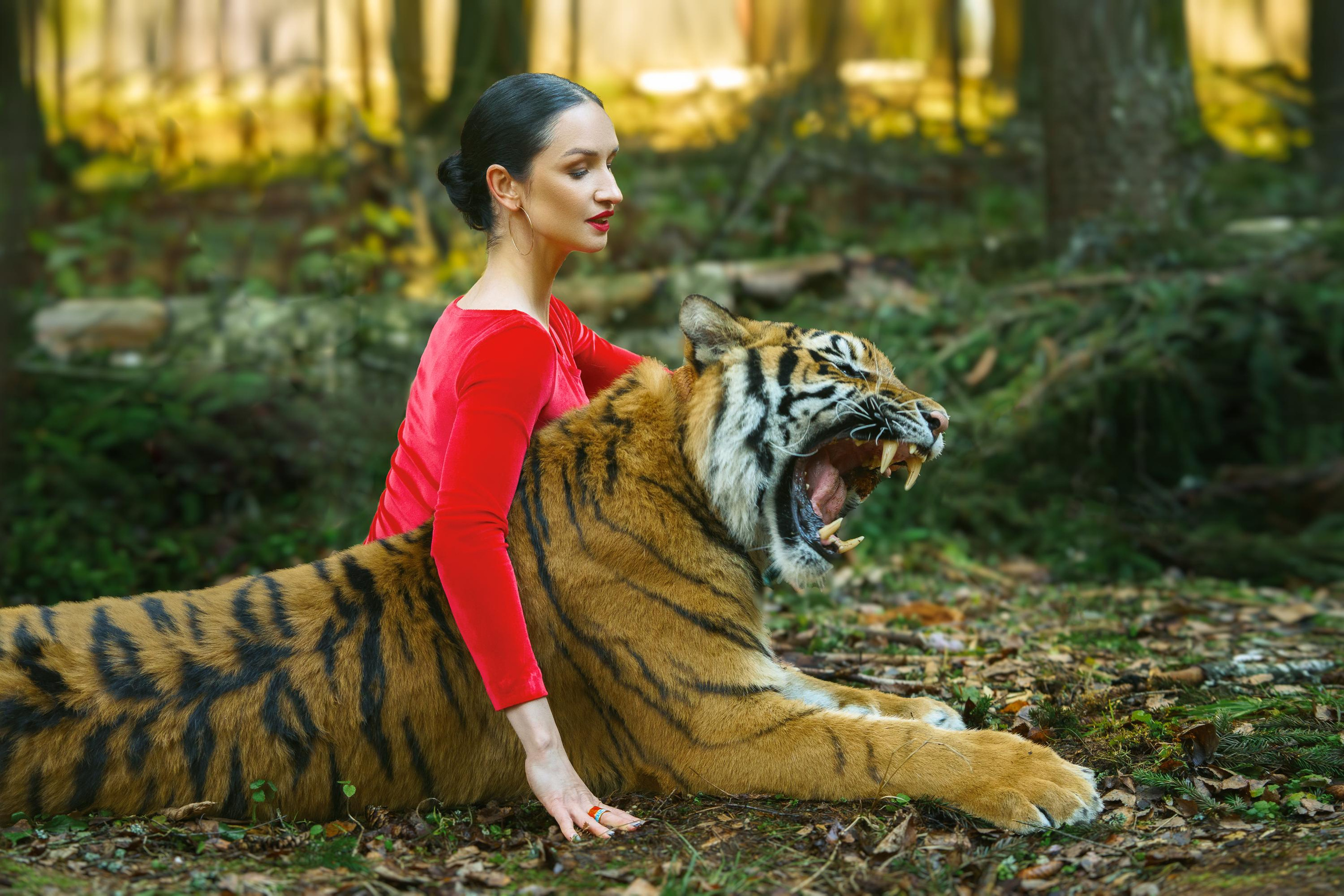 Фотосессия с тигром. Профессиональное решение для частных лиц и бизнеса