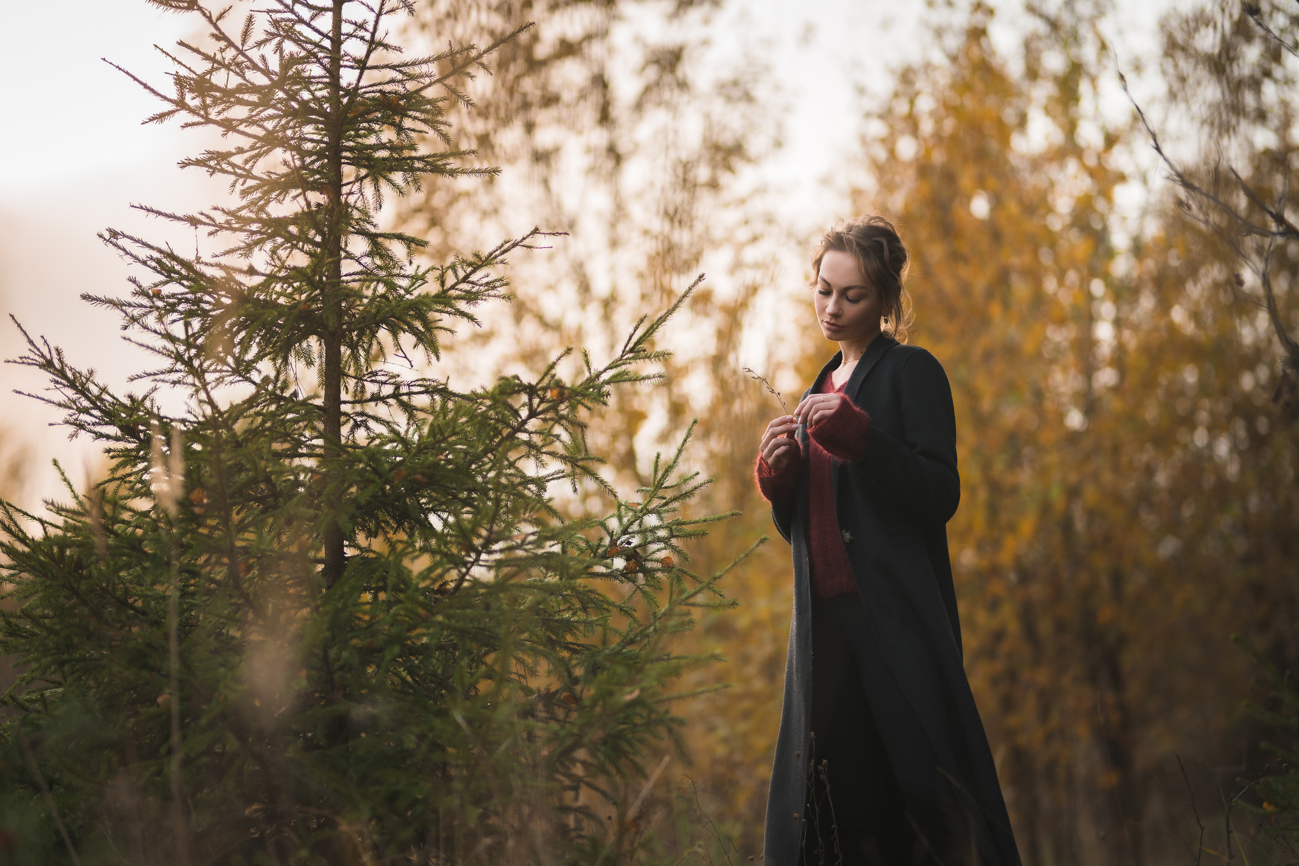 Пленер. Осень. Профессиональное решение для частных лиц и бизнеса