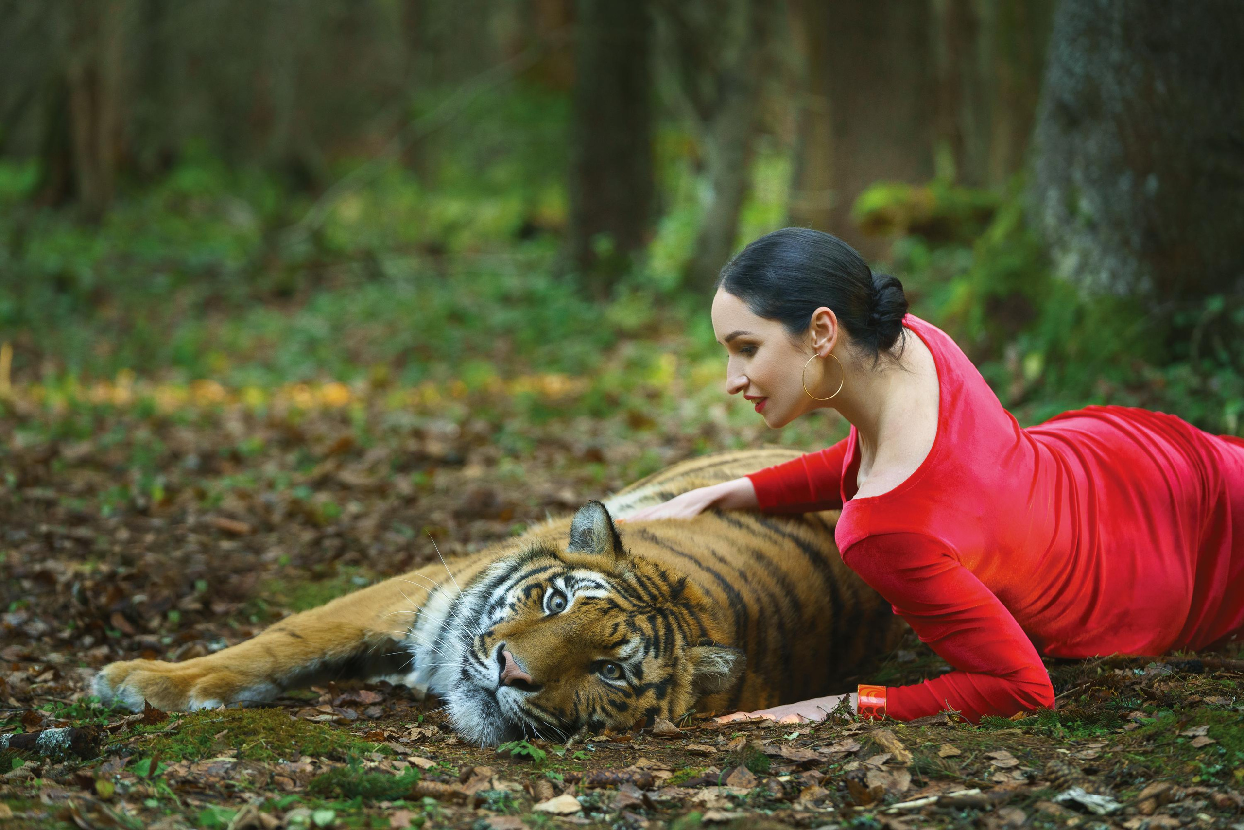 Фотосессия с тигром. Профессиональное решение для частных лиц и бизнеса