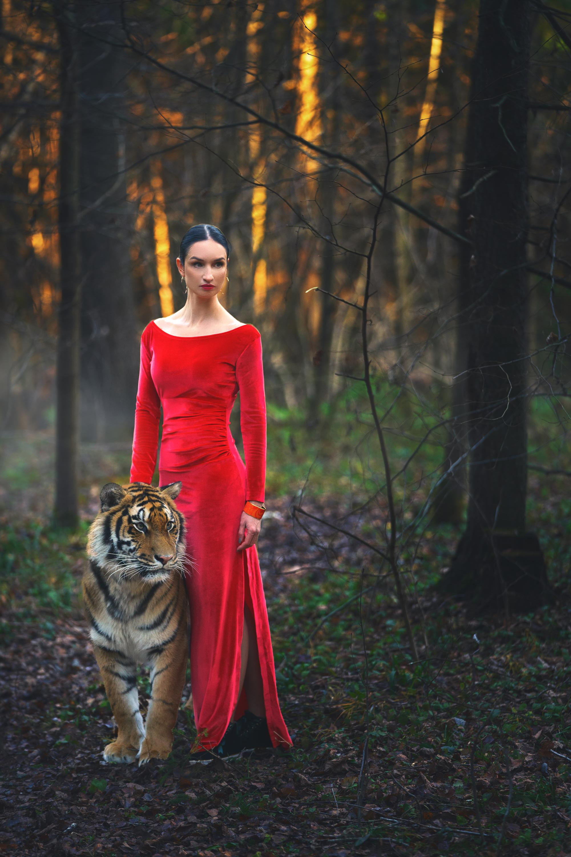 Фотосессия с тигром. Профессиональное решение для частных лиц и бизнеса