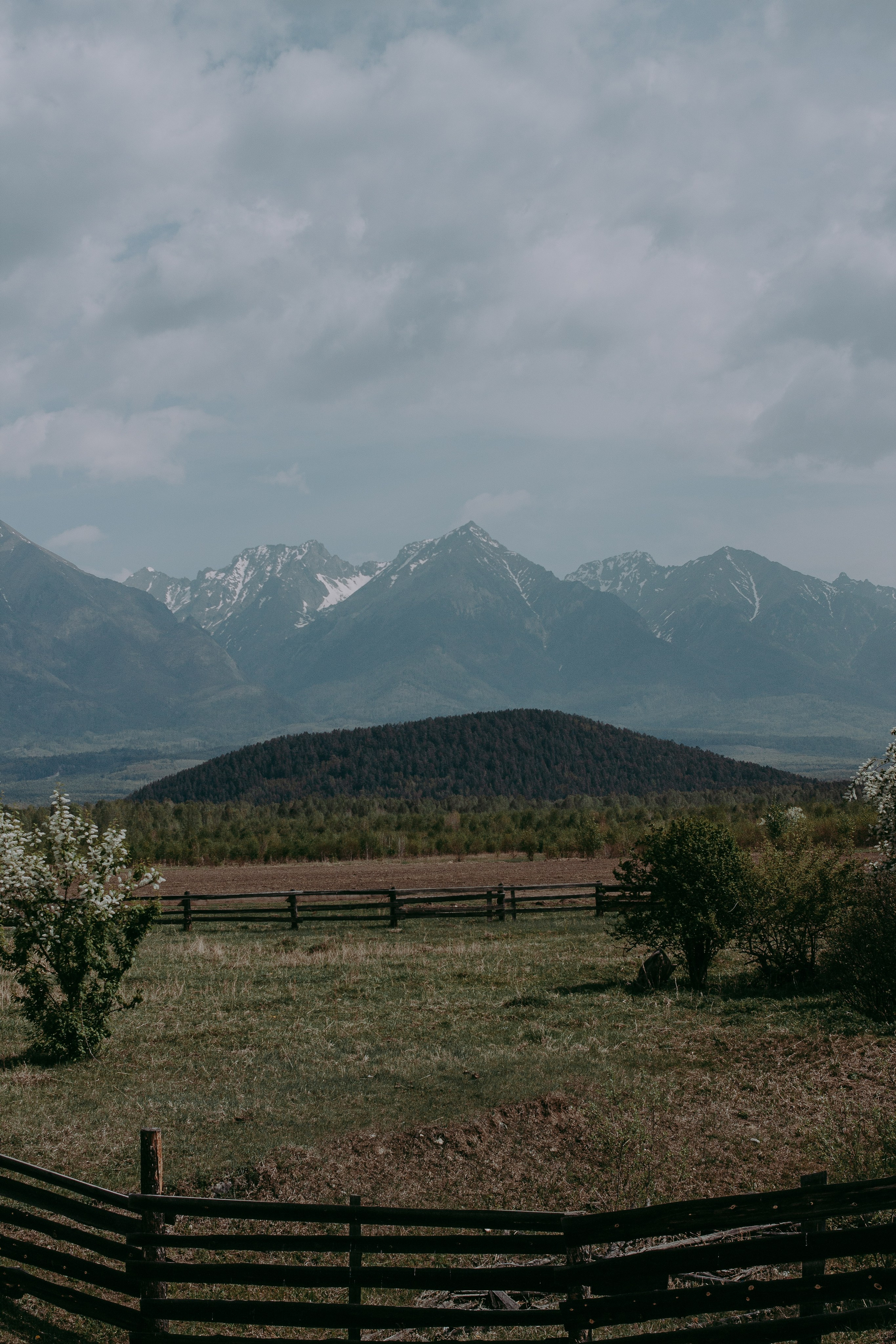 Ретрит на Байкале / Школа Ведических знаний SoVA / 7 дней, 2023. Борщевская Елизавета / фотограф Иркутск