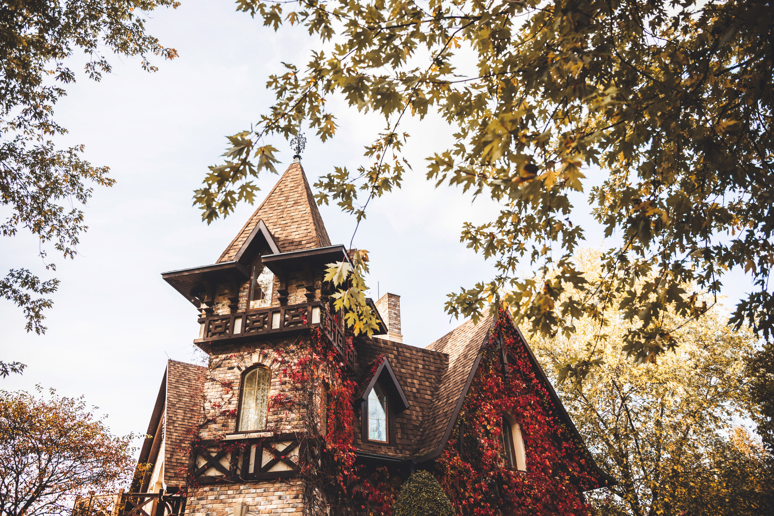 Юлия и Степан. Свадебный и семейный фотограф в Санкт-Петербурге Евгений Панин