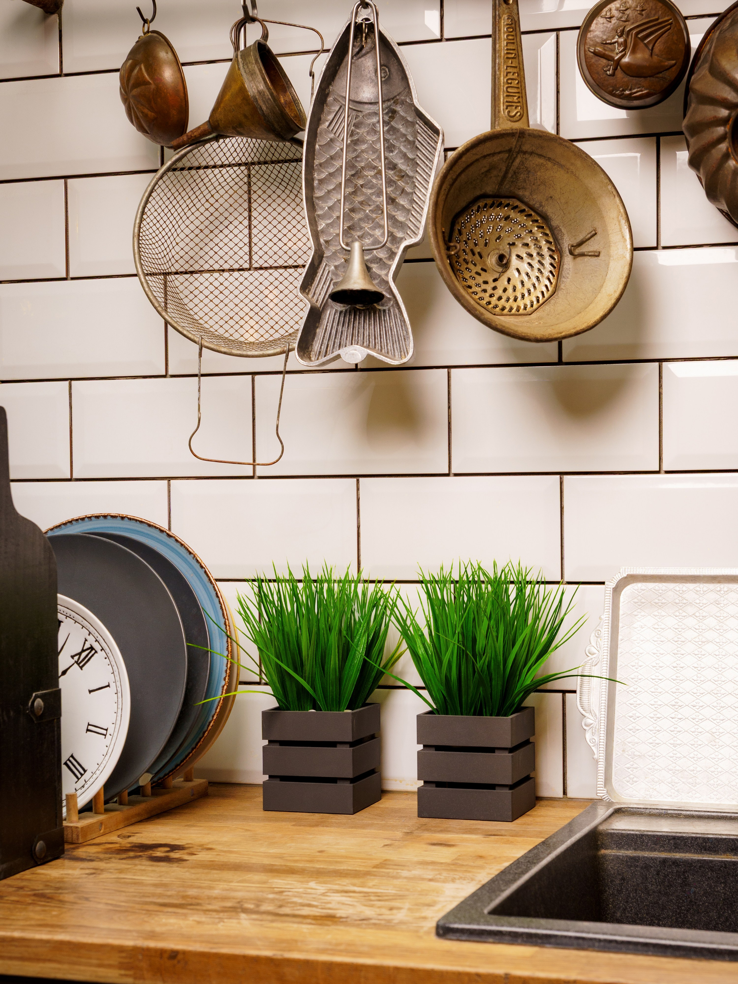 Кашпо. Макаров Сергей|Creamlebot Фотограф города Ростов-на-Дону