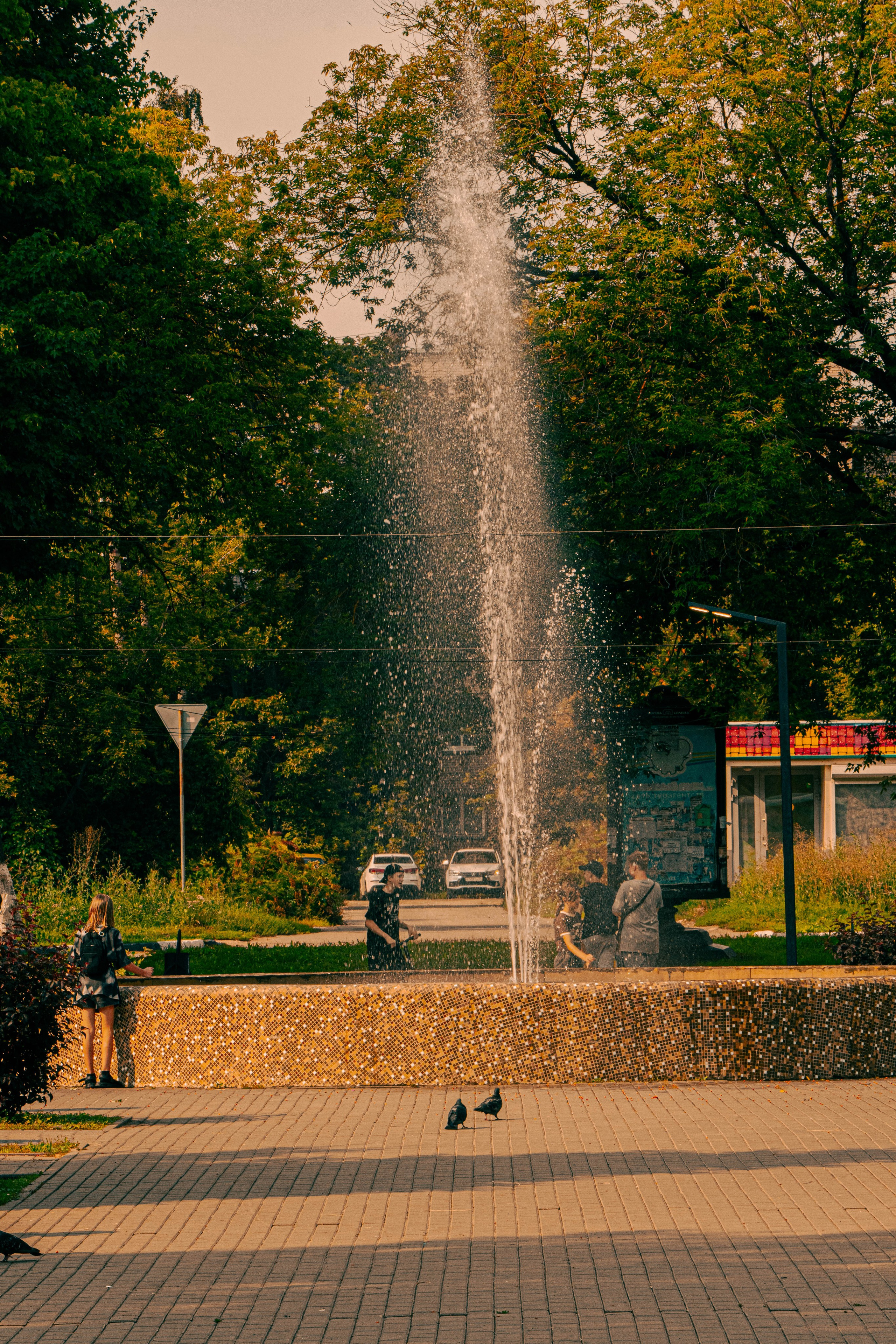 Архитектура и природа. Главная