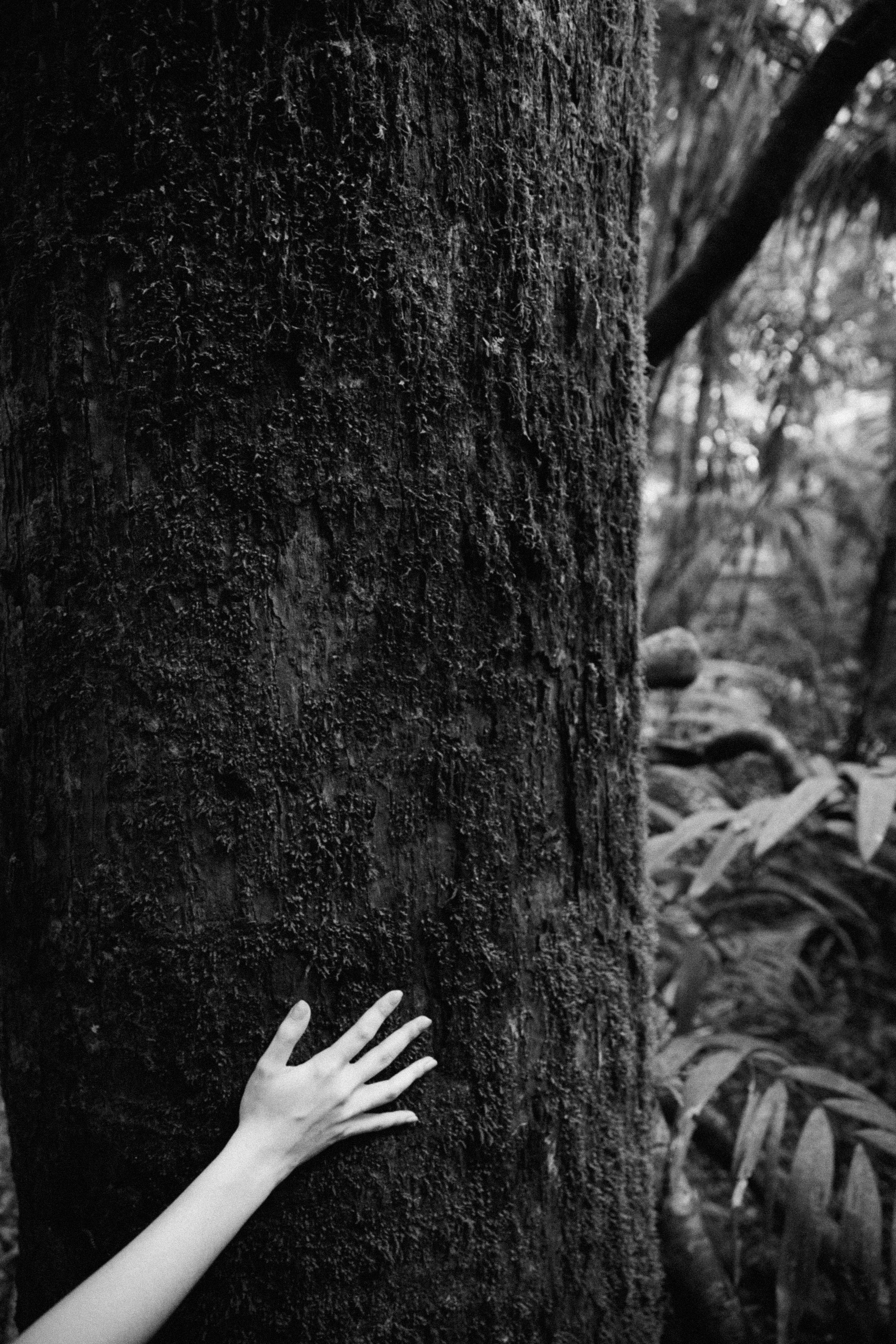 Vicky. Портретный фотограф / Панама / Анастасия Елизарова