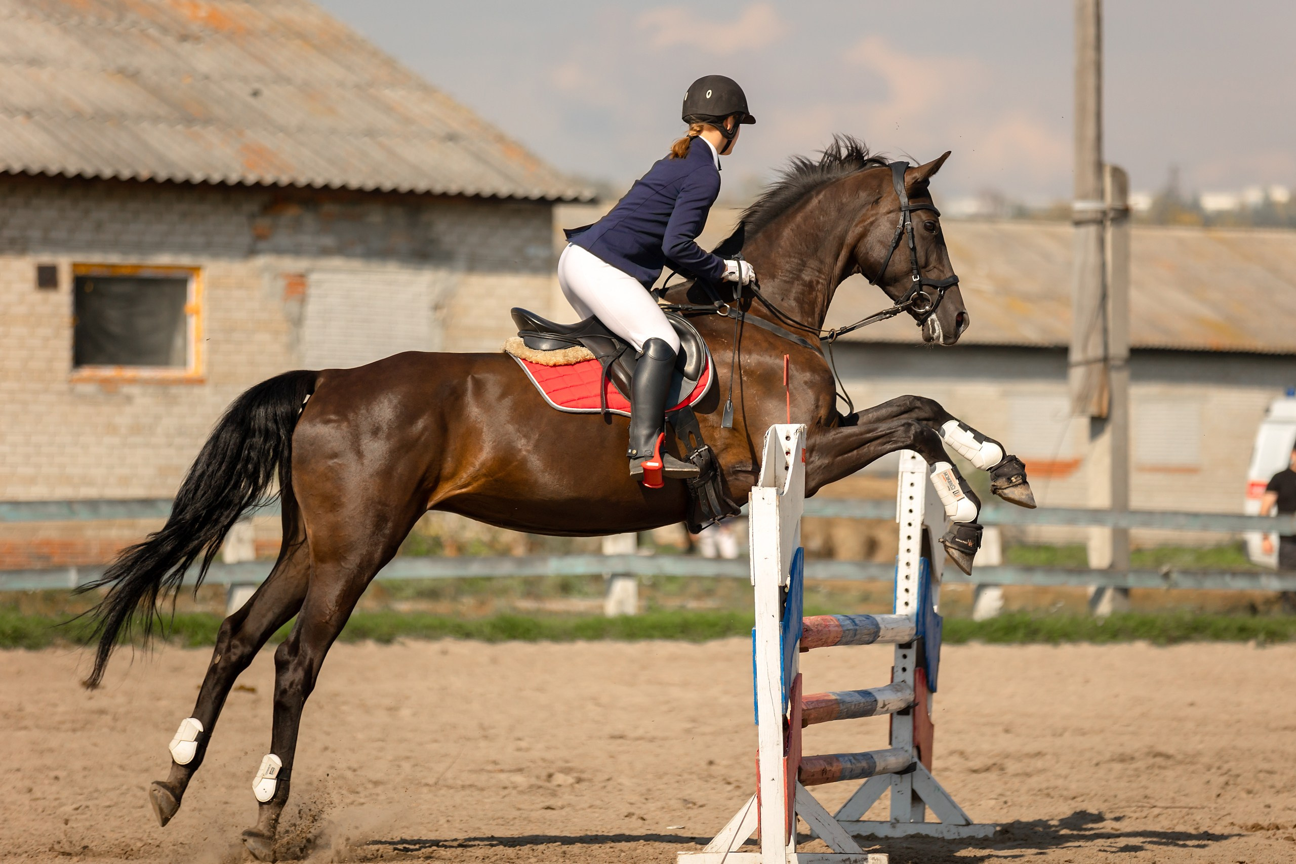 Соревнования по конному спорту. Конный фотограф Валынкина Лера